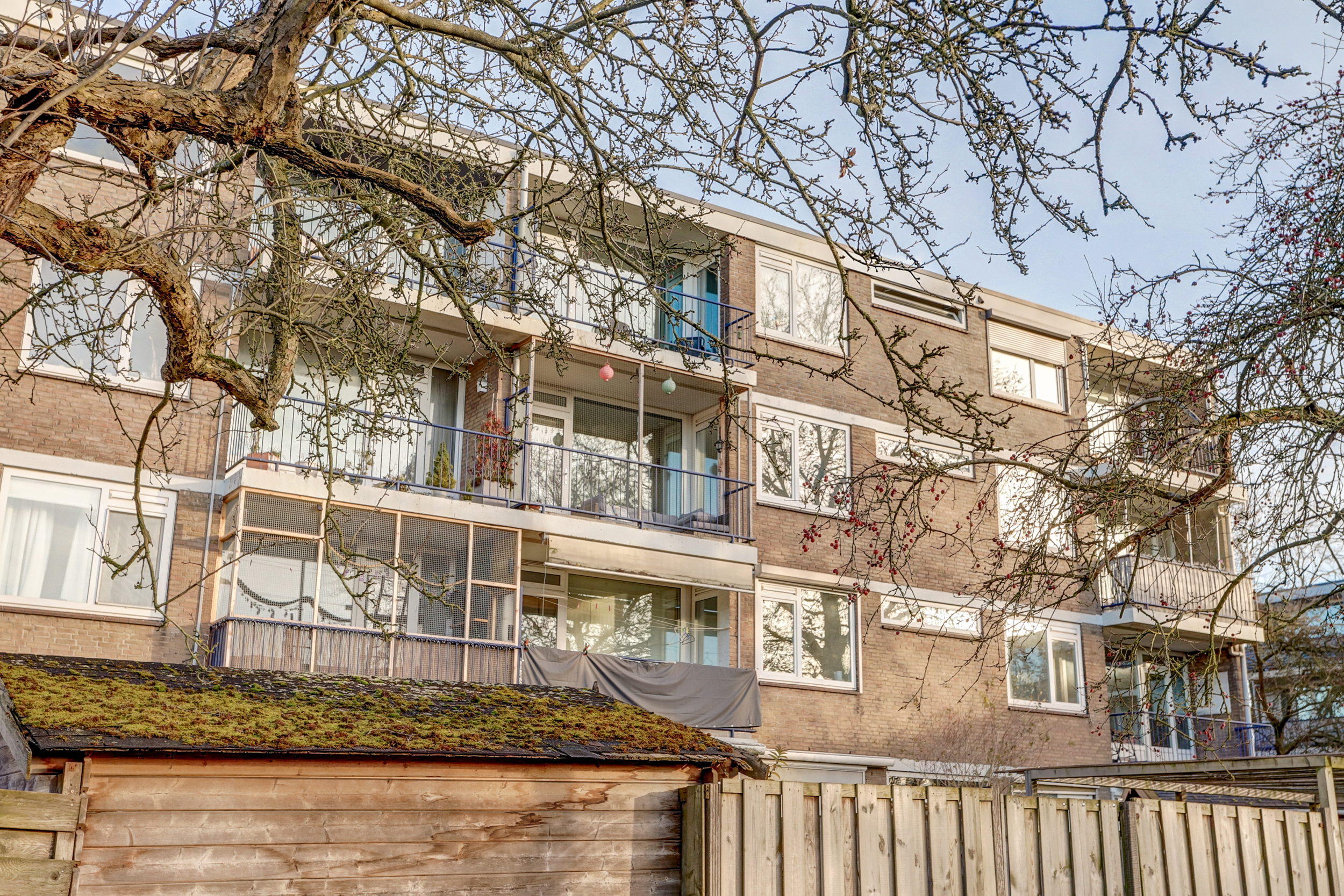 Chirurgijnstraat 13, afbeelding 3