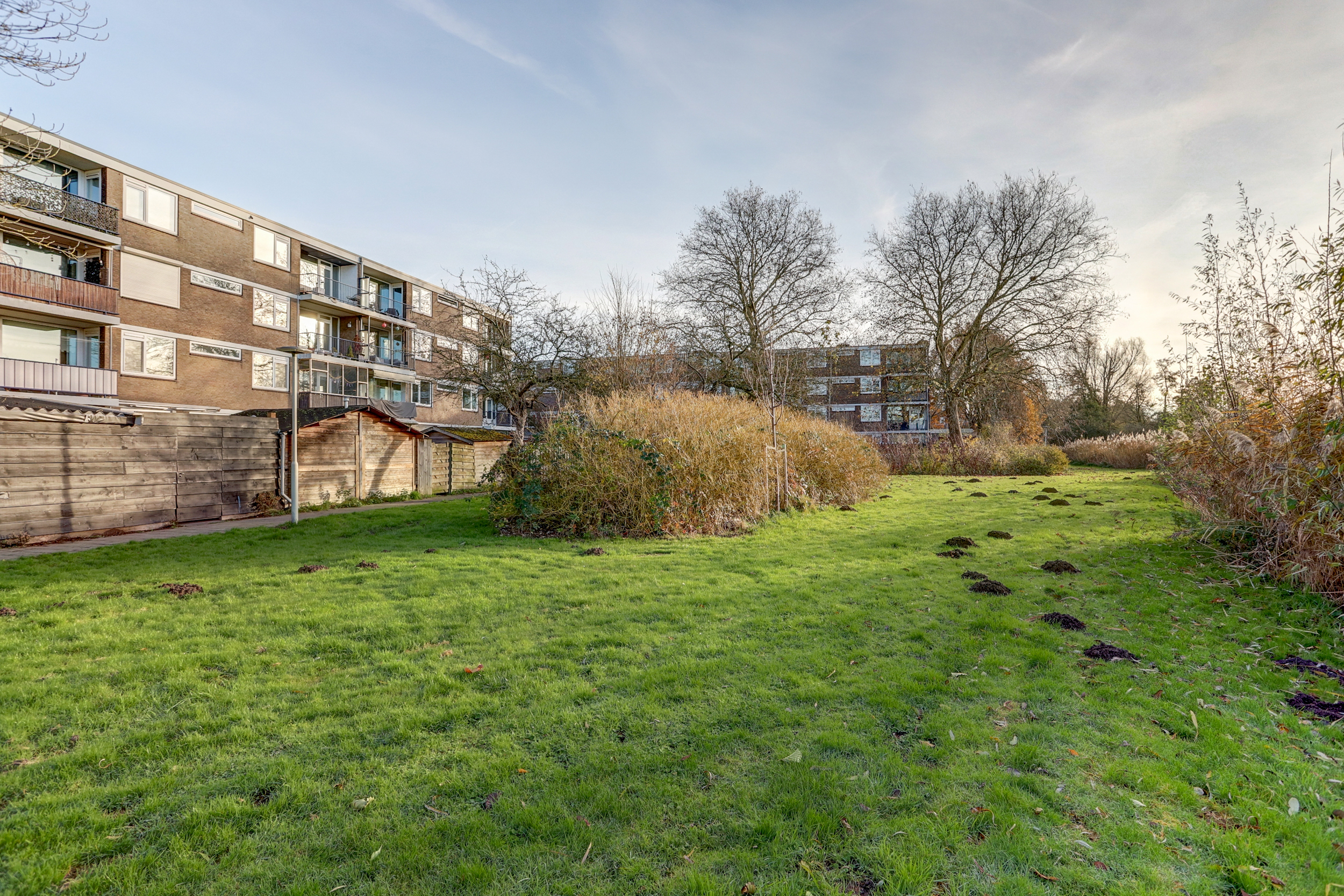 Chirurgijnstraat 13, afbeelding 27