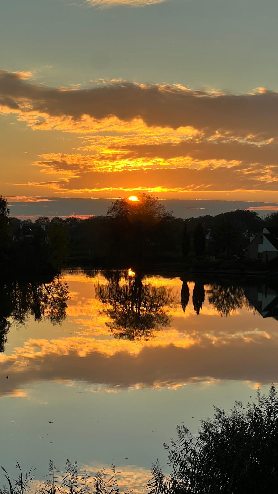 Memel 24, afbeelding 25