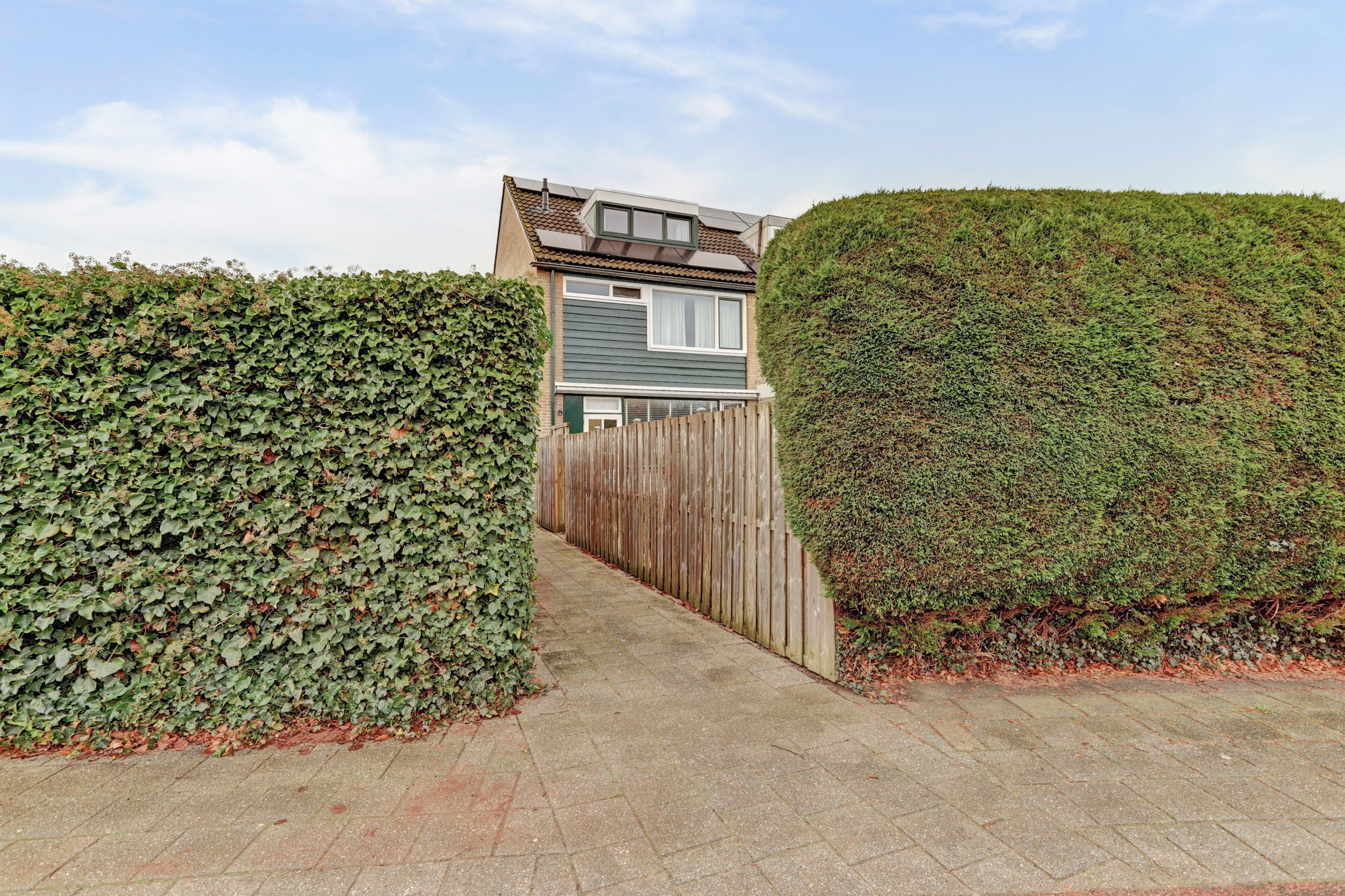 Valeriaan 36, afbeelding 38