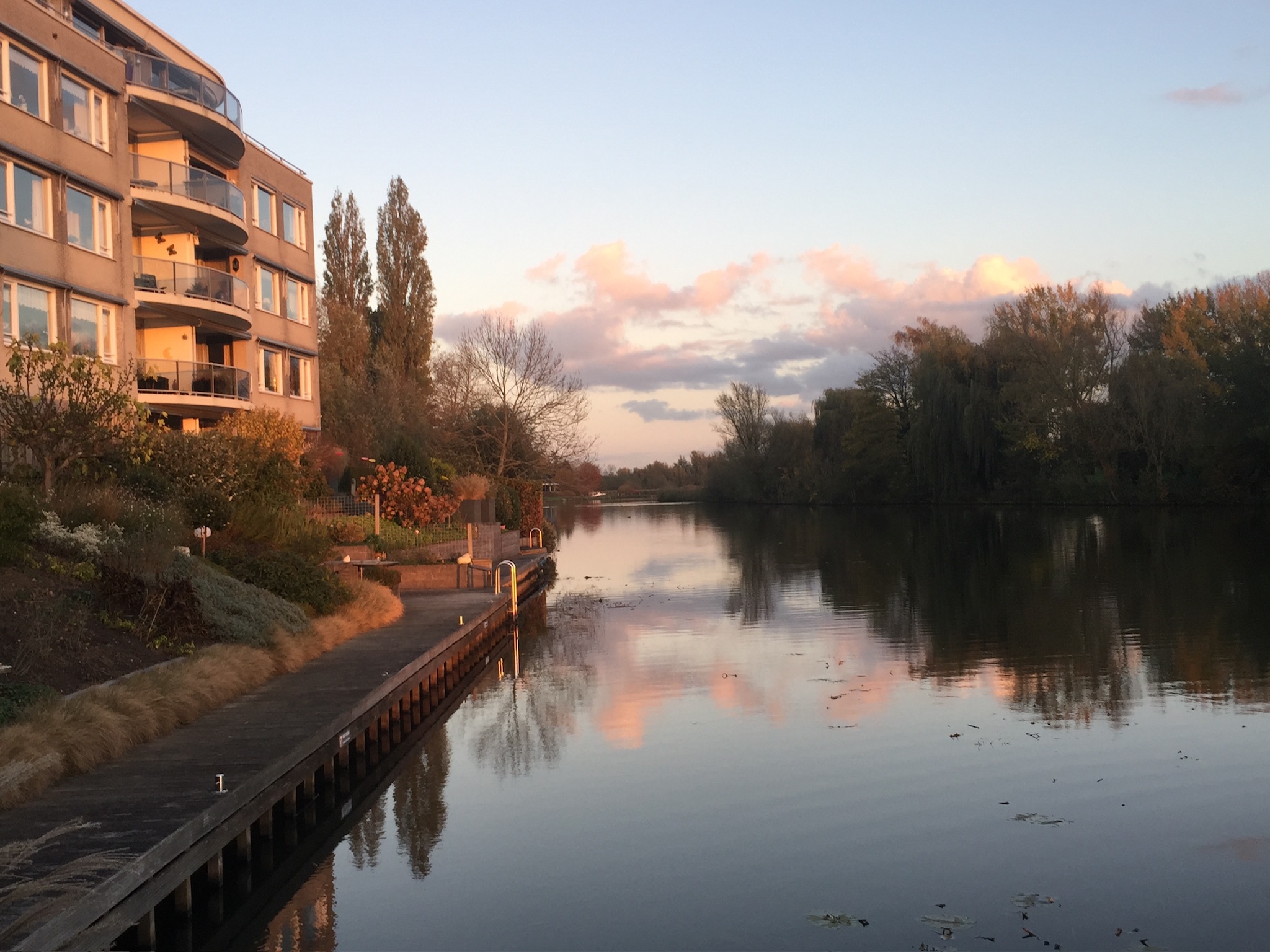 Memel 16, afbeelding 56