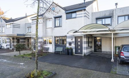 Prof.Mr. P. Lieftinckstraat 6