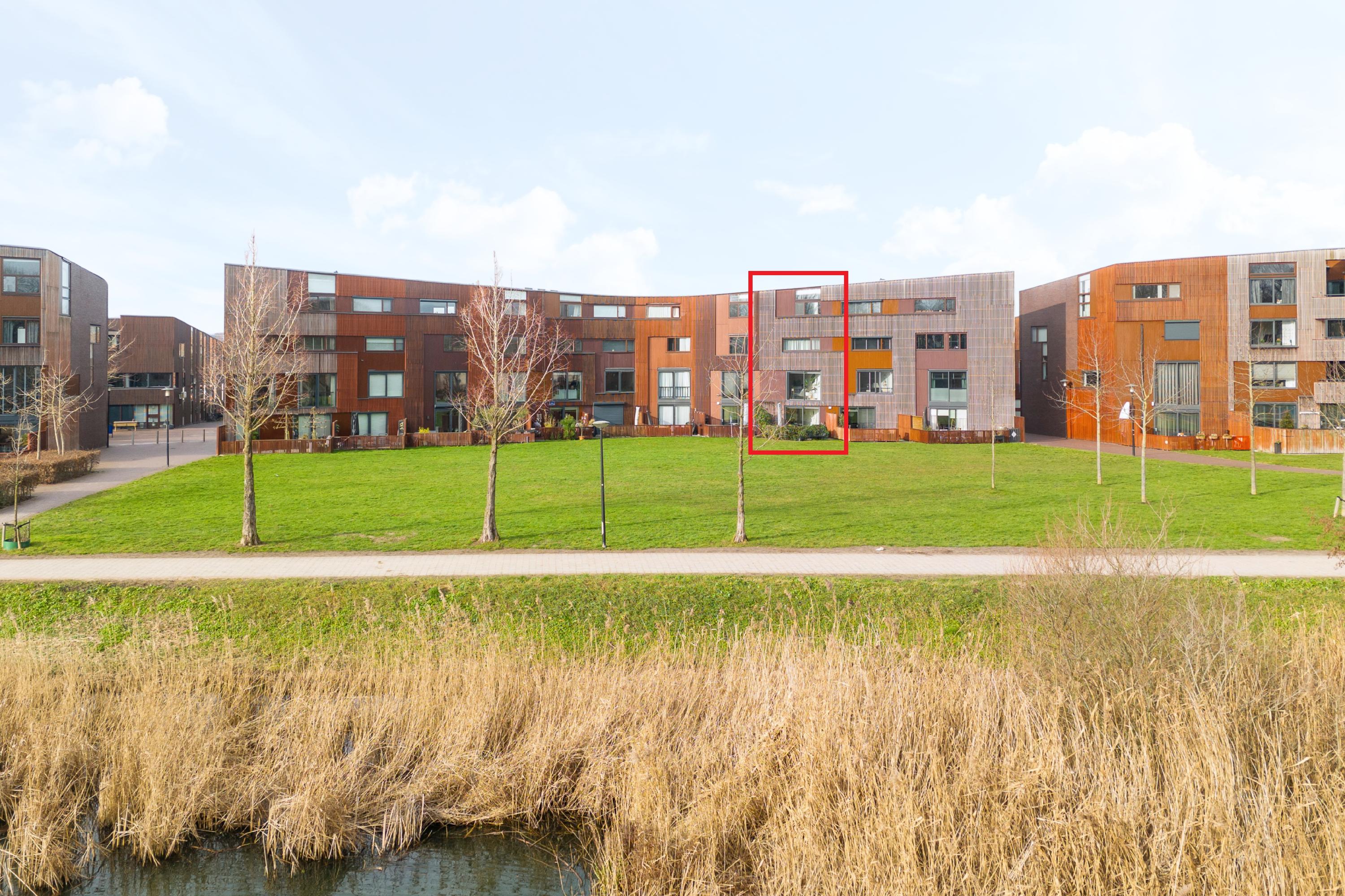 Kokardebloem 25, afbeelding 1