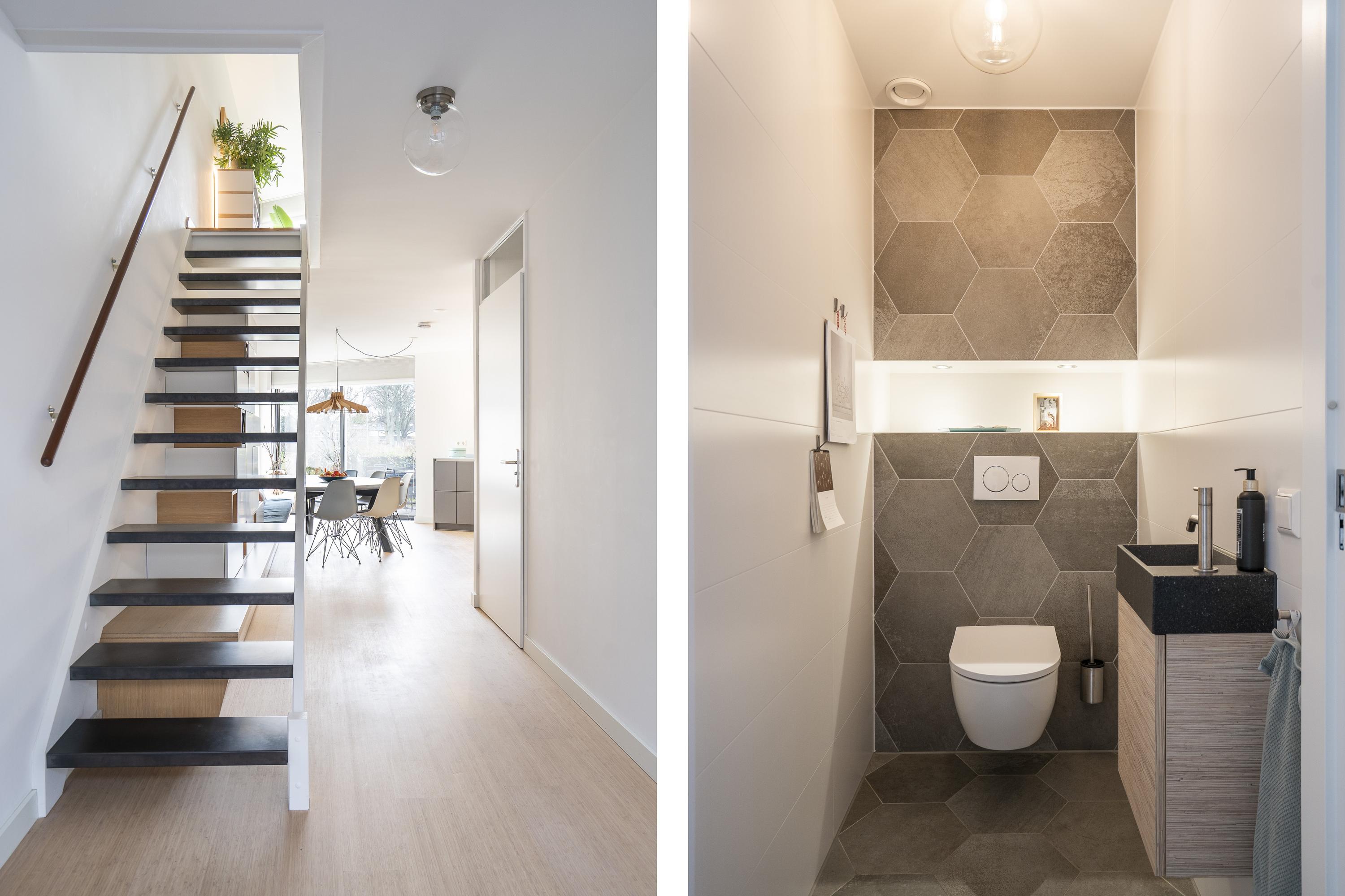 Kokardebloem 25, afbeelding 6