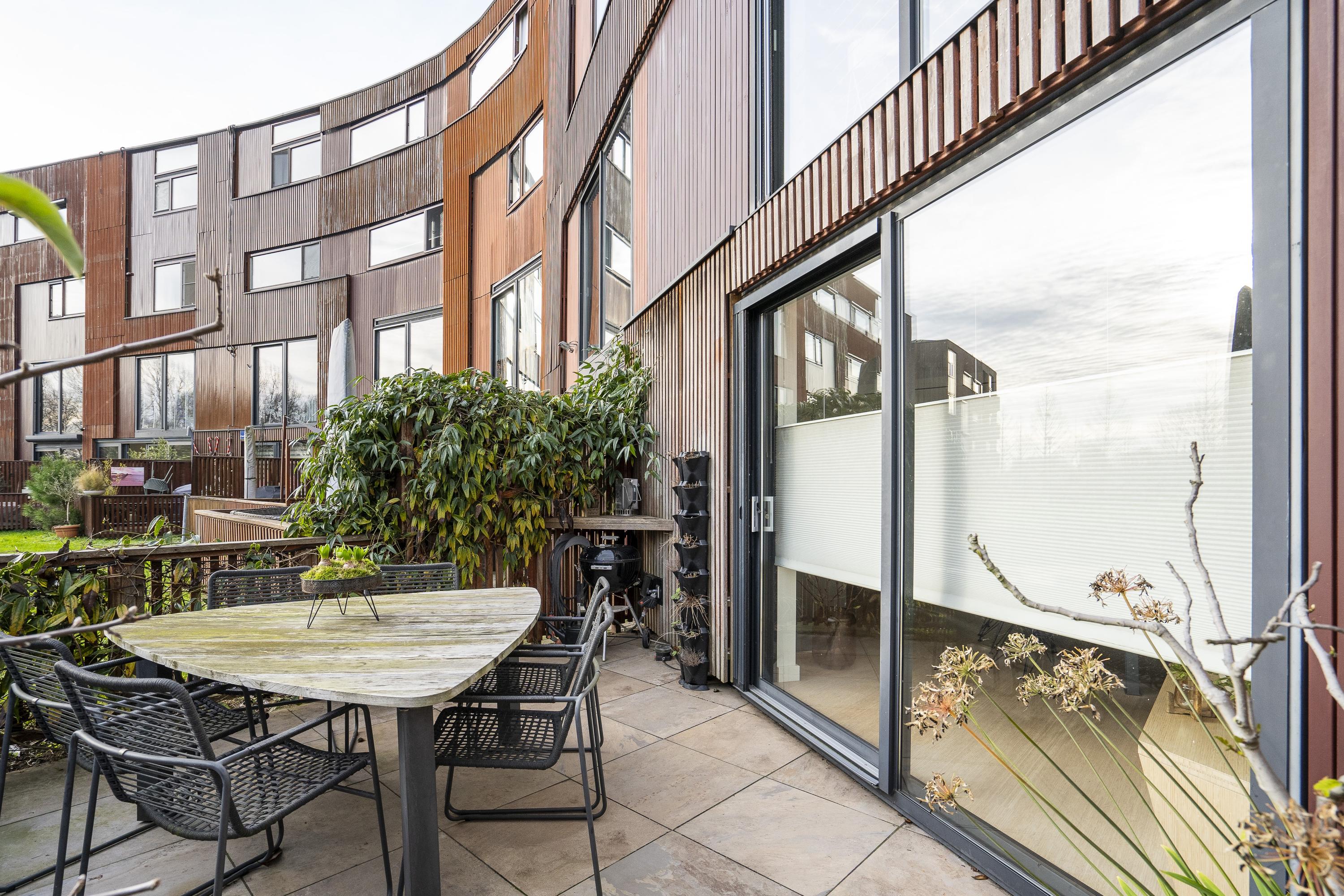 Kokardebloem 25, afbeelding 8