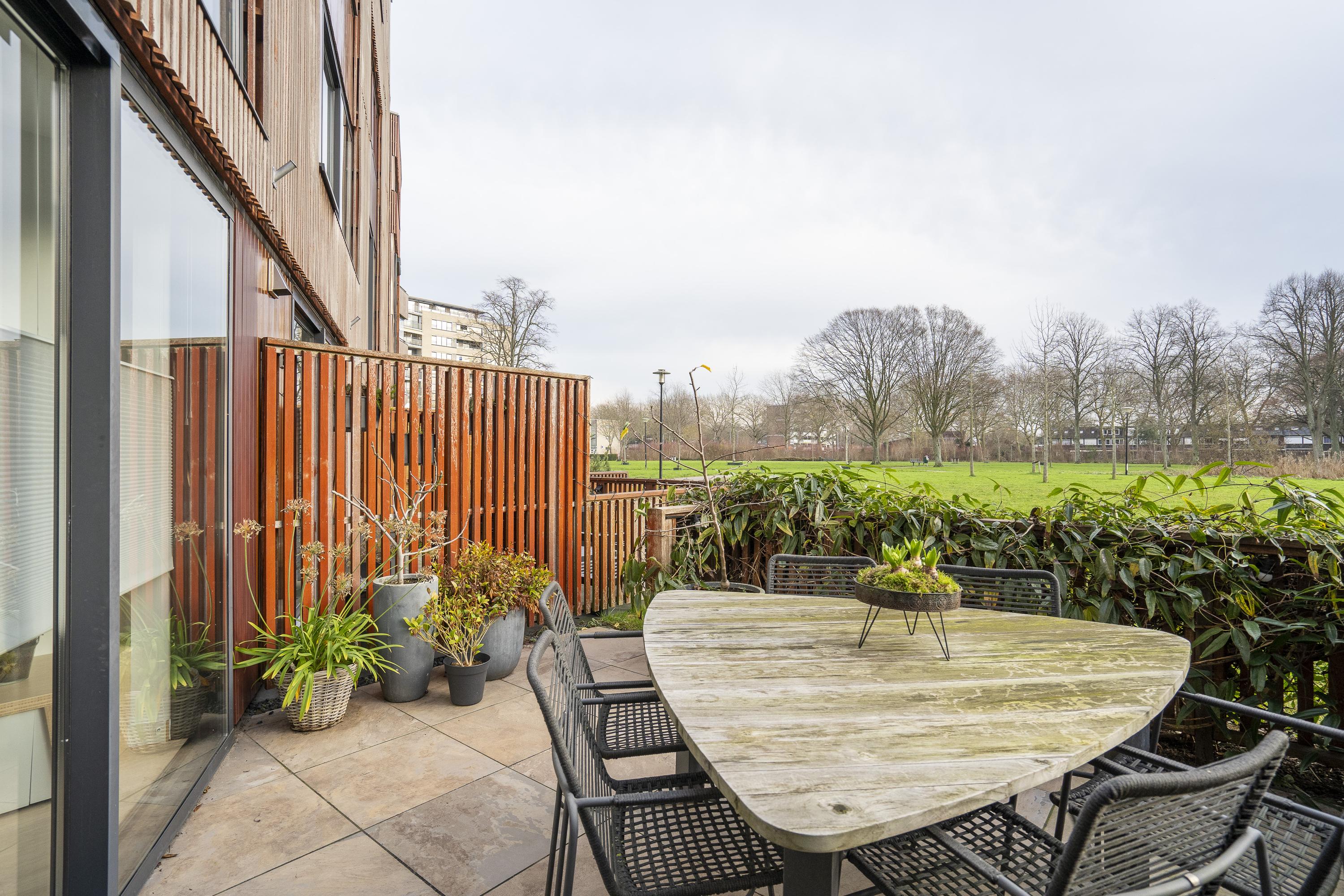 Kokardebloem 25, afbeelding 9