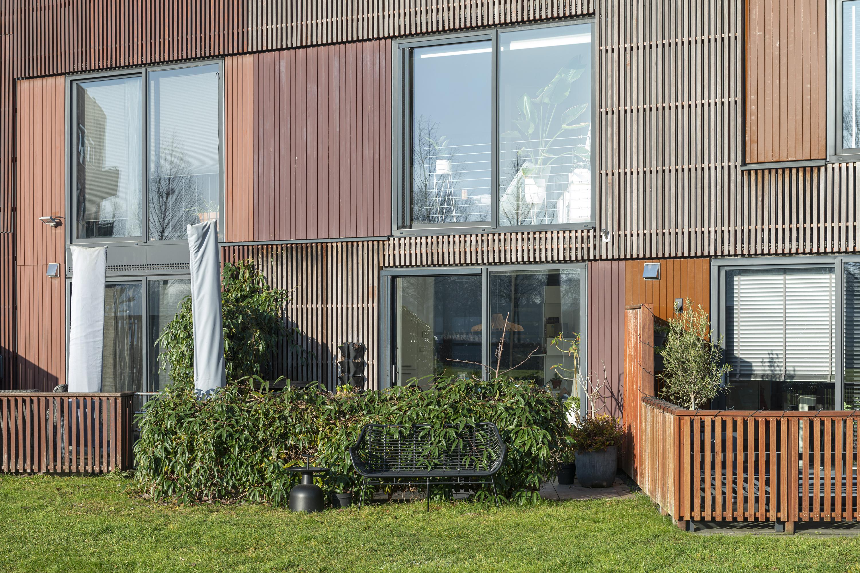 Kokardebloem 25, afbeelding 12