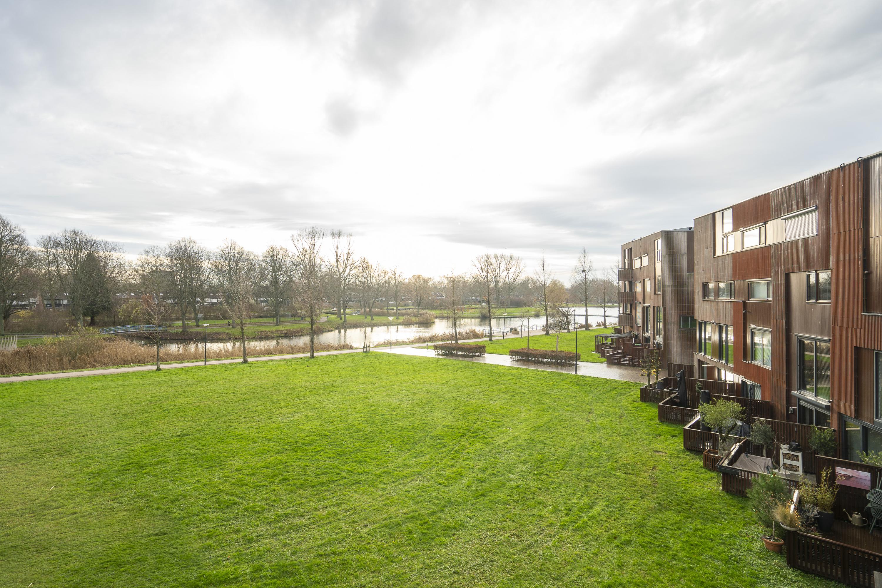 Kokardebloem 25, afbeelding 28