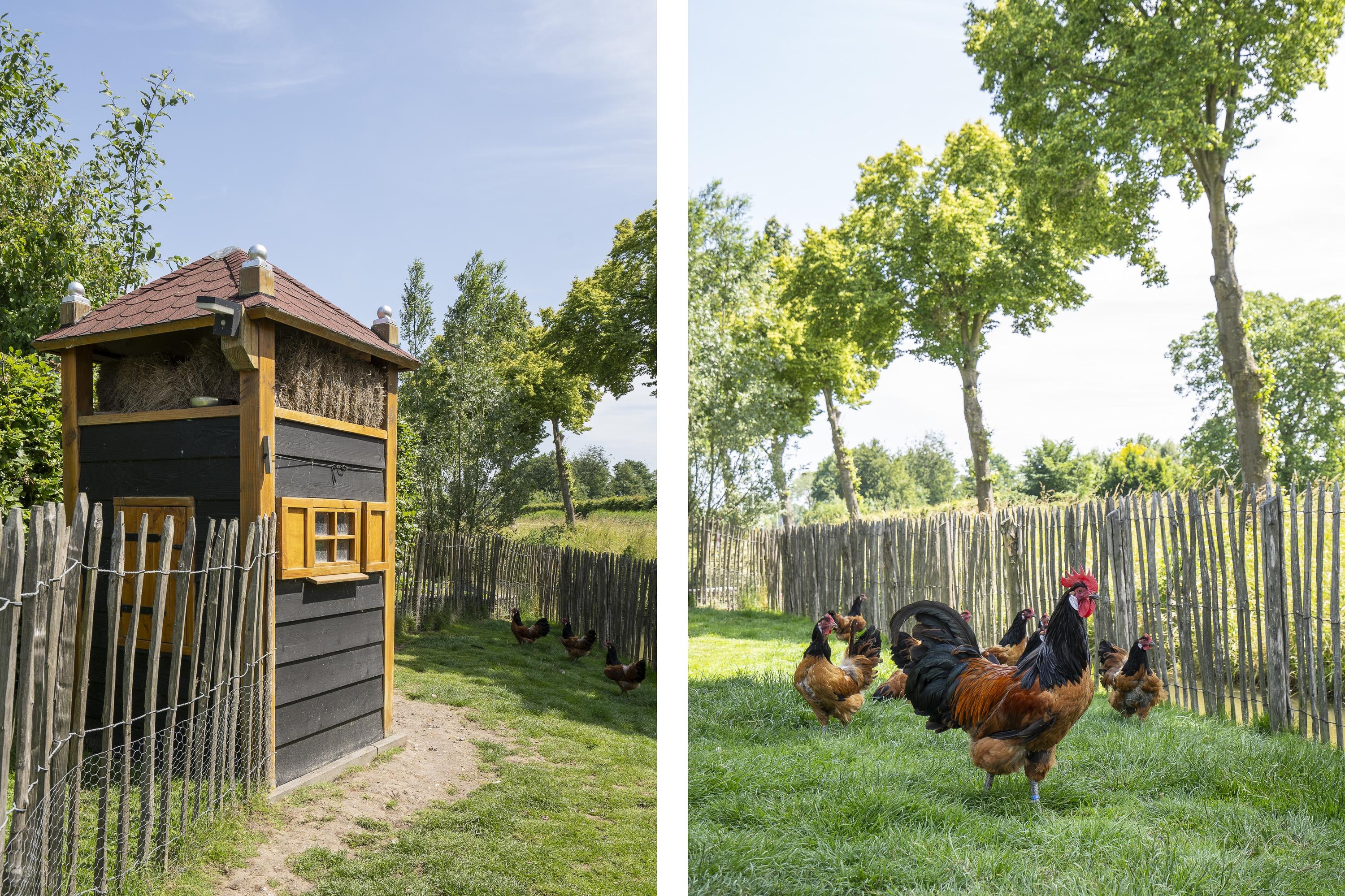 Veersedijk 16, afbeelding 35