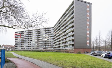 Vrijheer van Eslaan 399