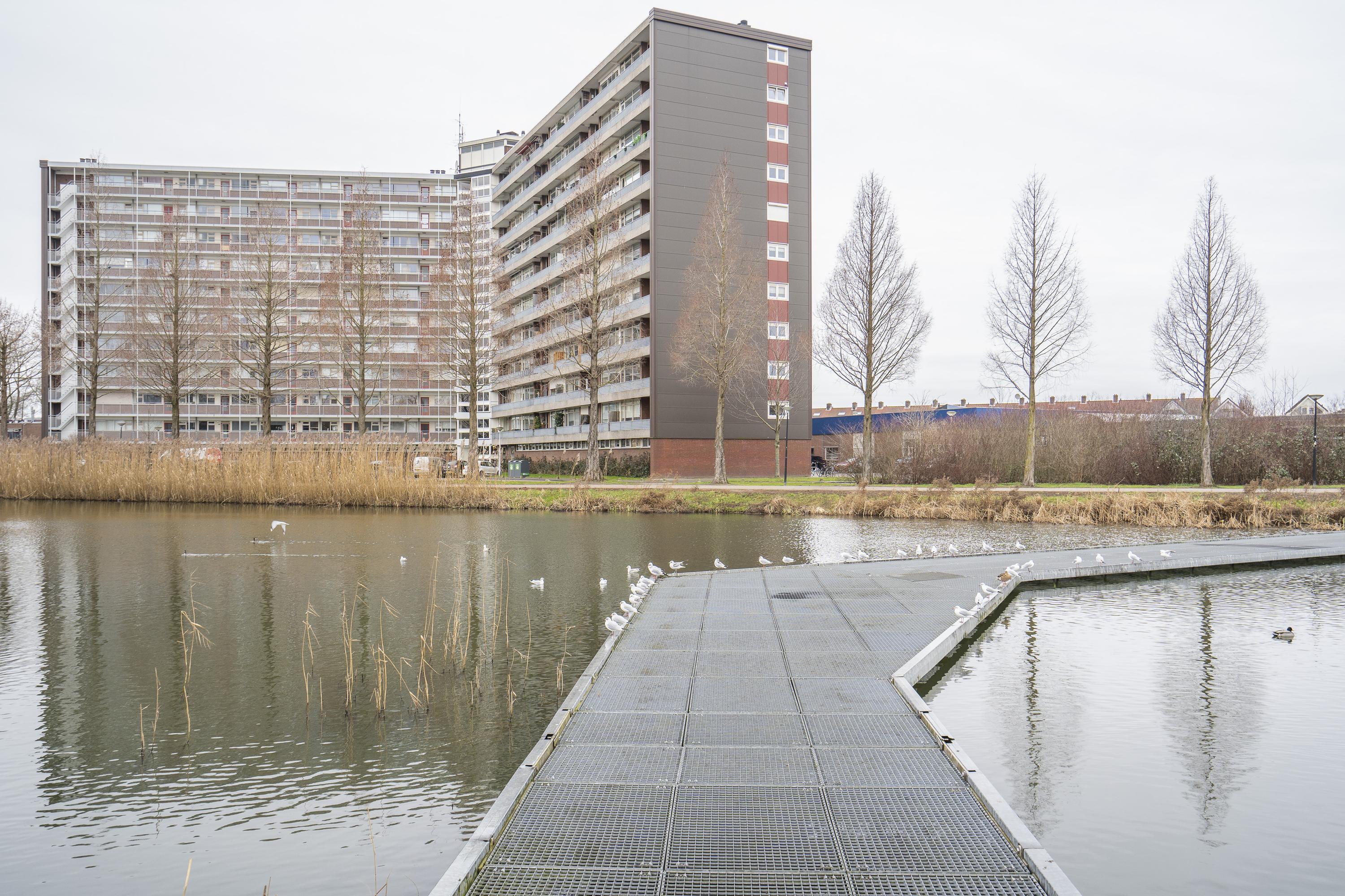 Vrijheer van Eslaan 399, afbeelding 4