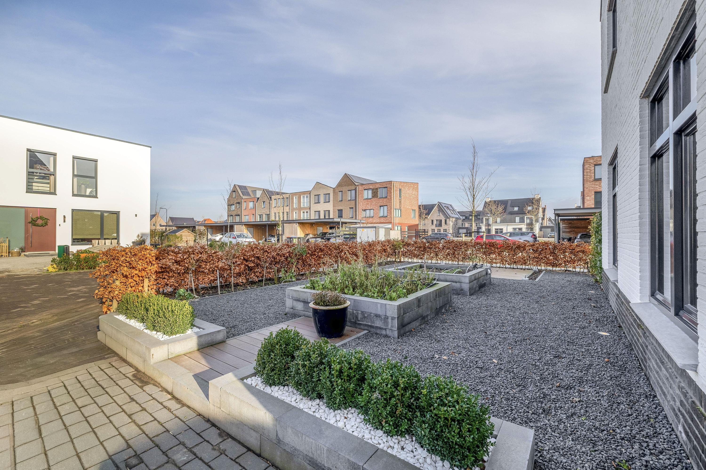 Emerald 13, afbeelding 8