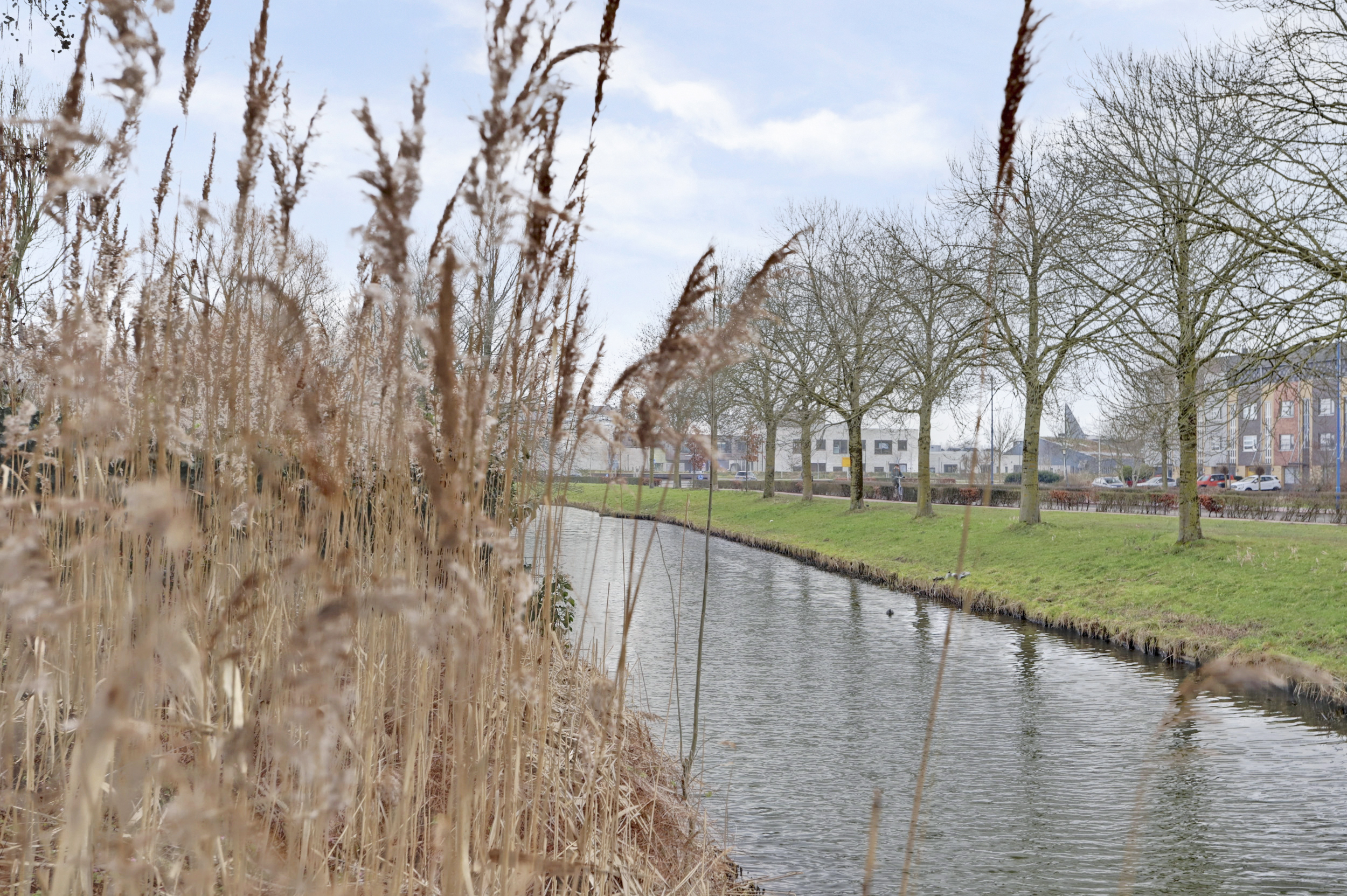 Prozastraat 4, afbeelding 48