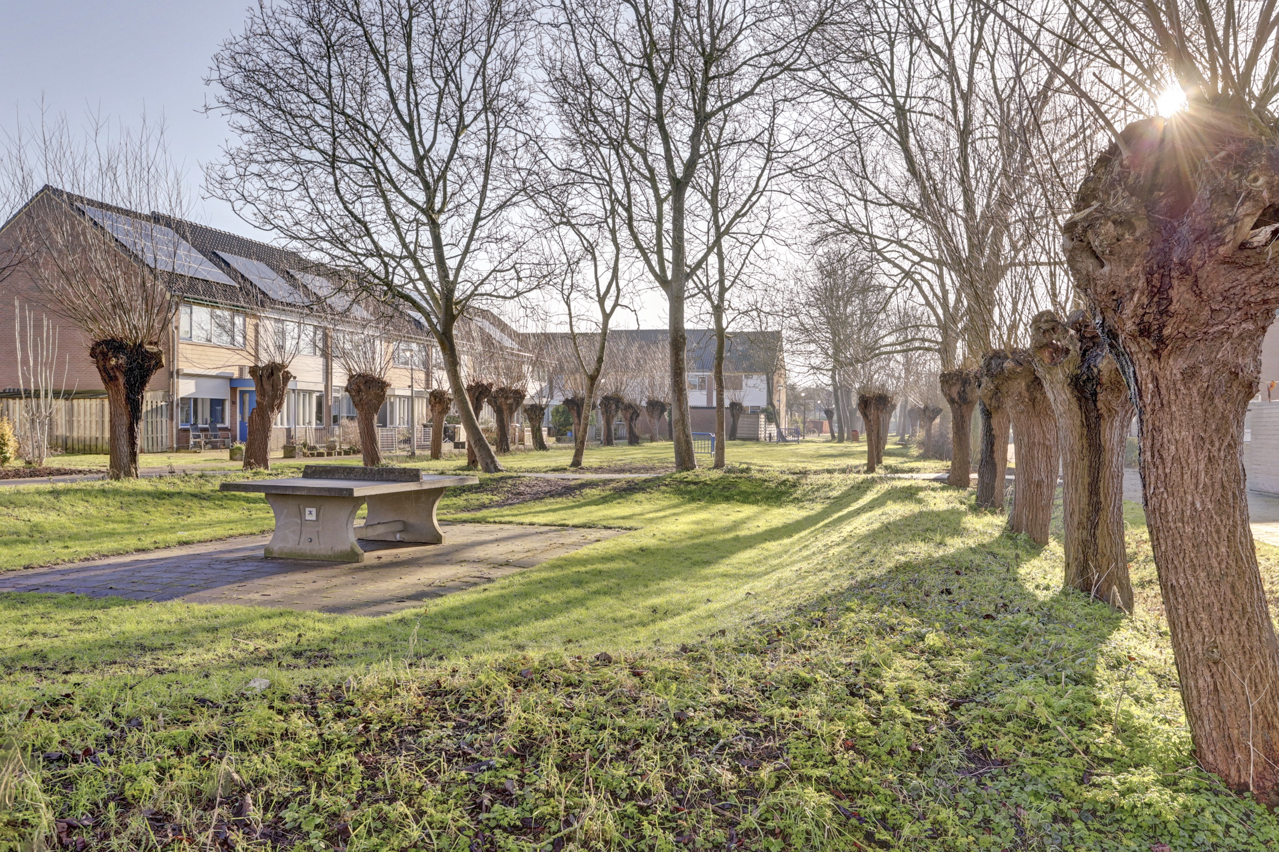 Valeriaan 41, afbeelding 39