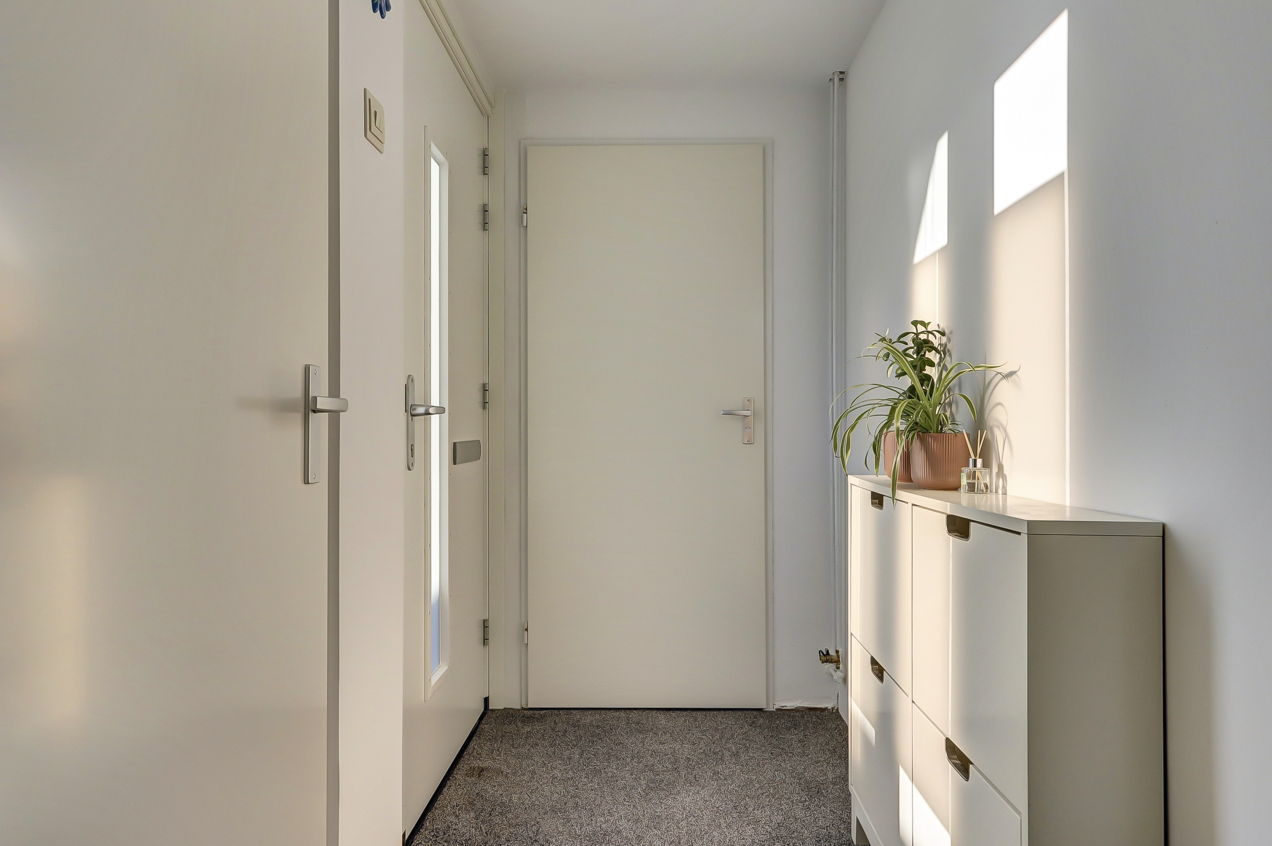 Valeriaan 41, afbeelding 12