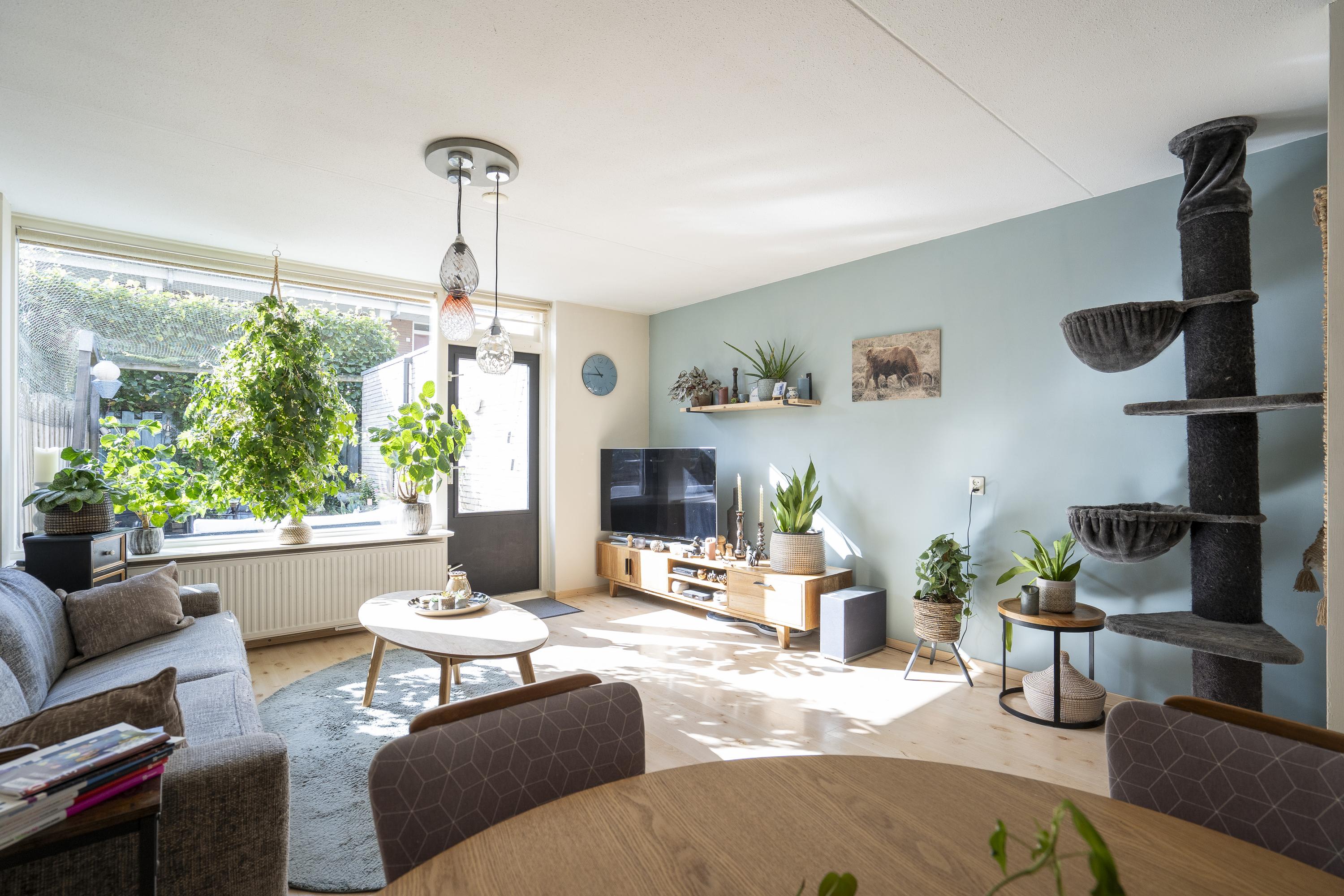 Noordwal 53, afbeelding 1