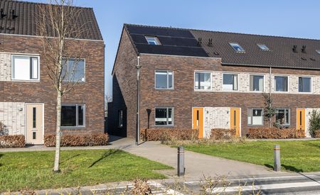 Kees van Lintstraat 41