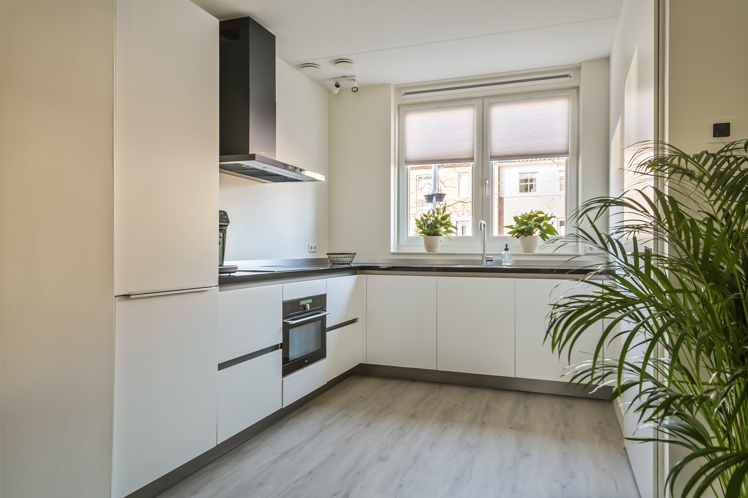 Arendstraat 24, afbeelding 6