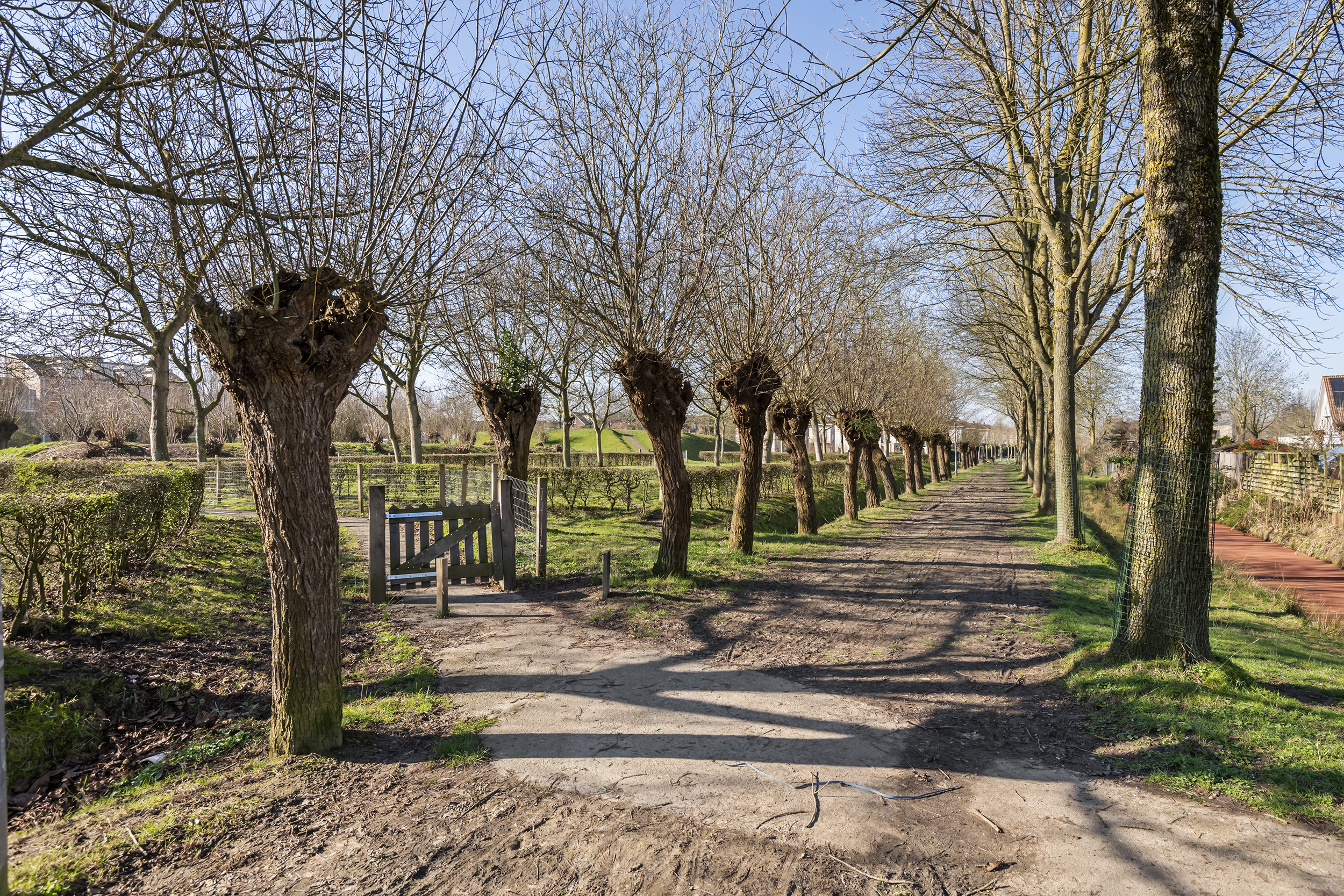 Maasweg 20, afbeelding 58