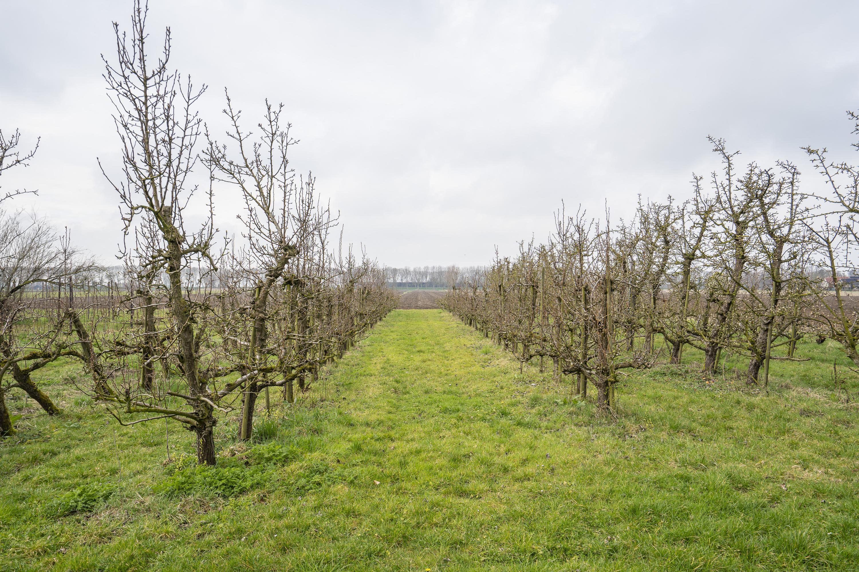Onderweg 12, afbeelding 41