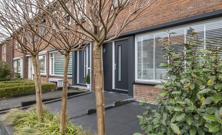 Hendrik van Nassaustraat 13