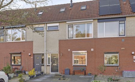 Albert Verweystraat 34