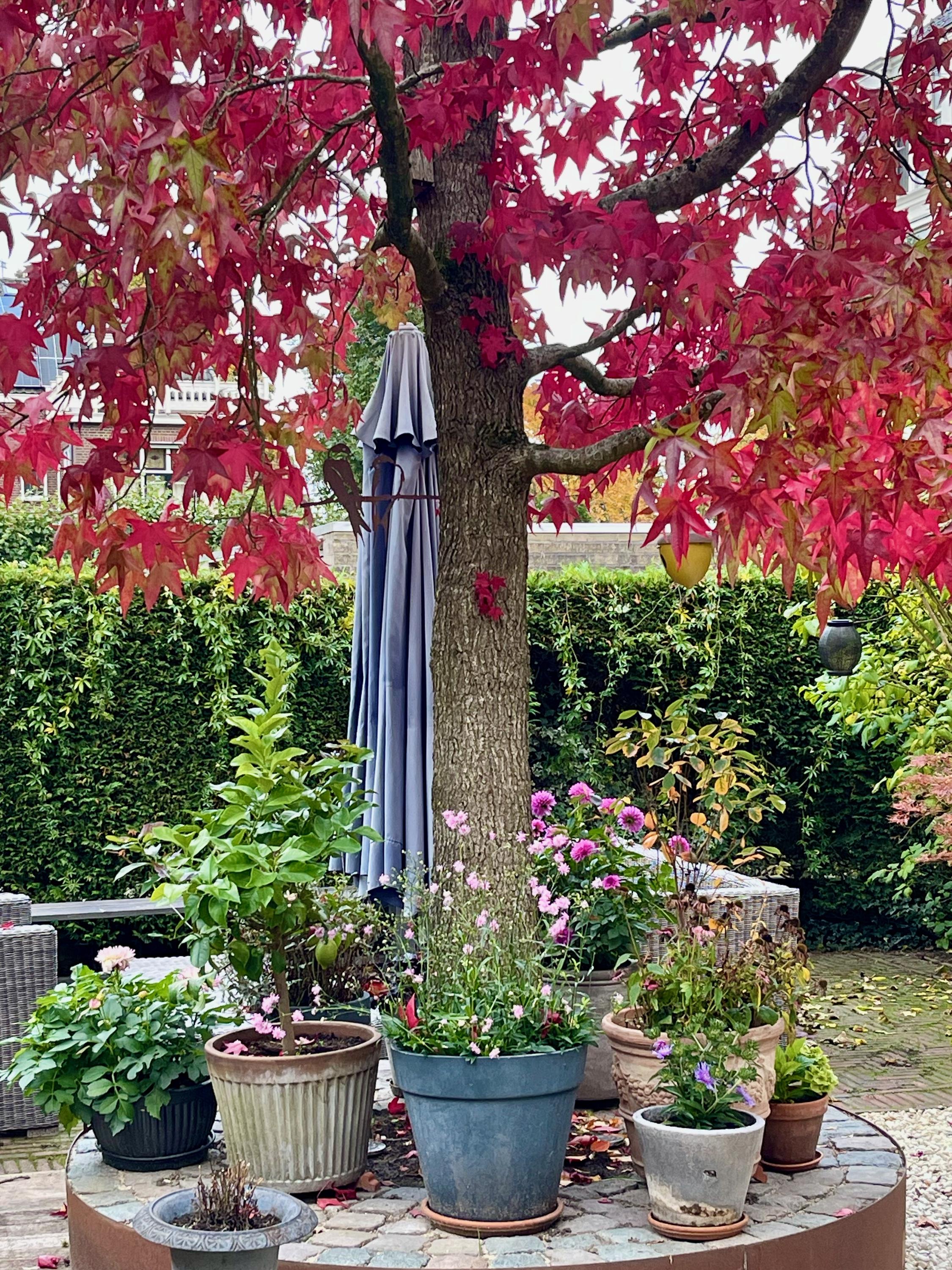 Het Voorburg 2, afbeelding 57