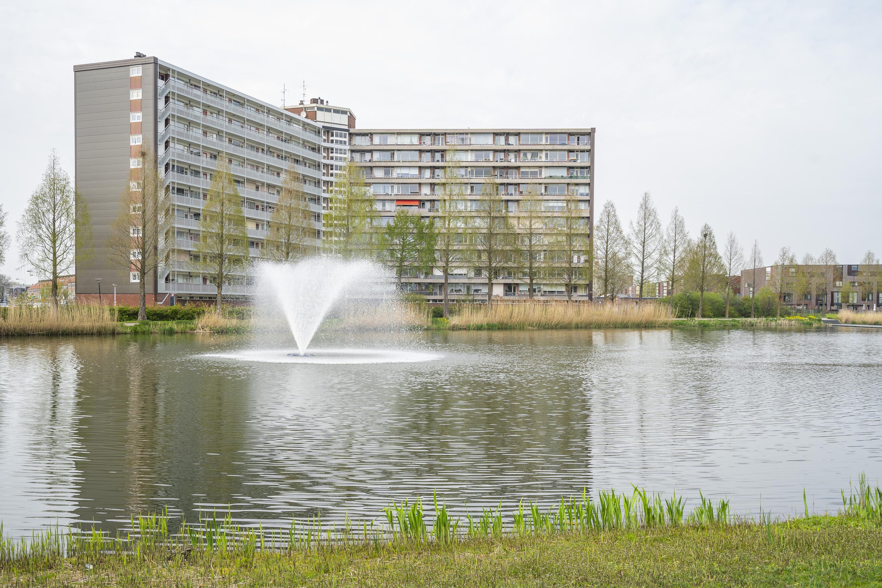 Vrijheer van Eslaan 457, afbeelding 4