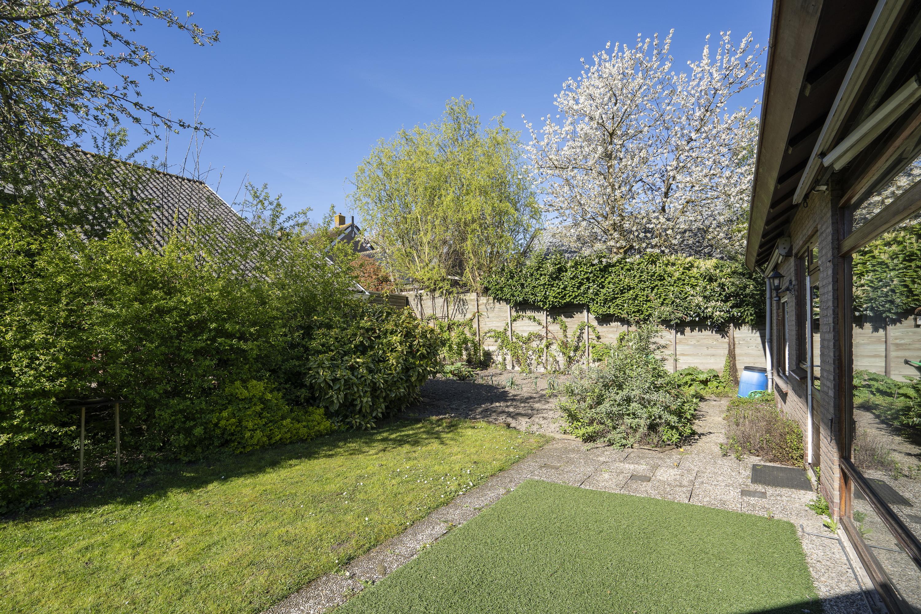 Mijntjeserf 3, afbeelding 4