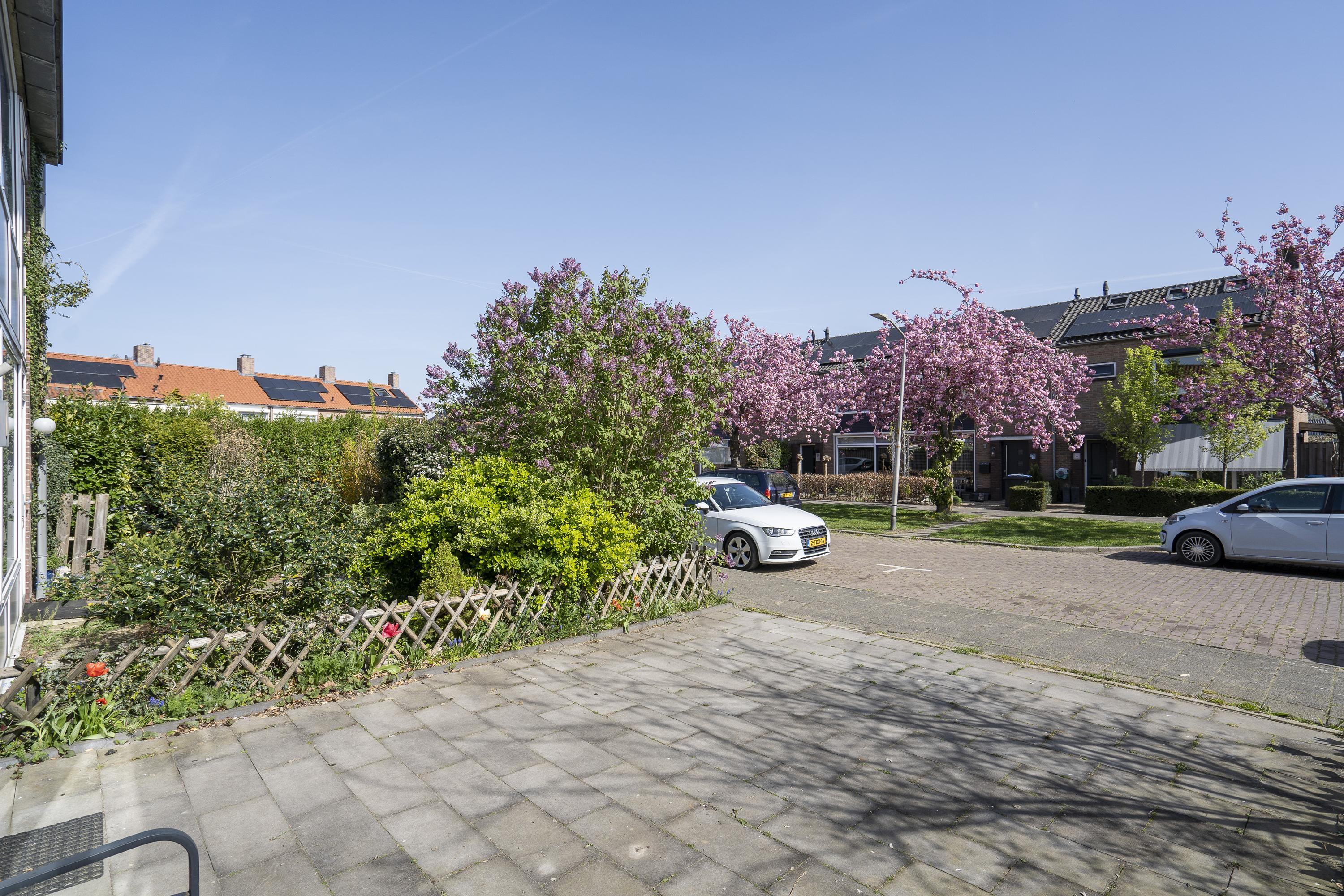 Dirk Willemszstraat 15, afbeelding 1