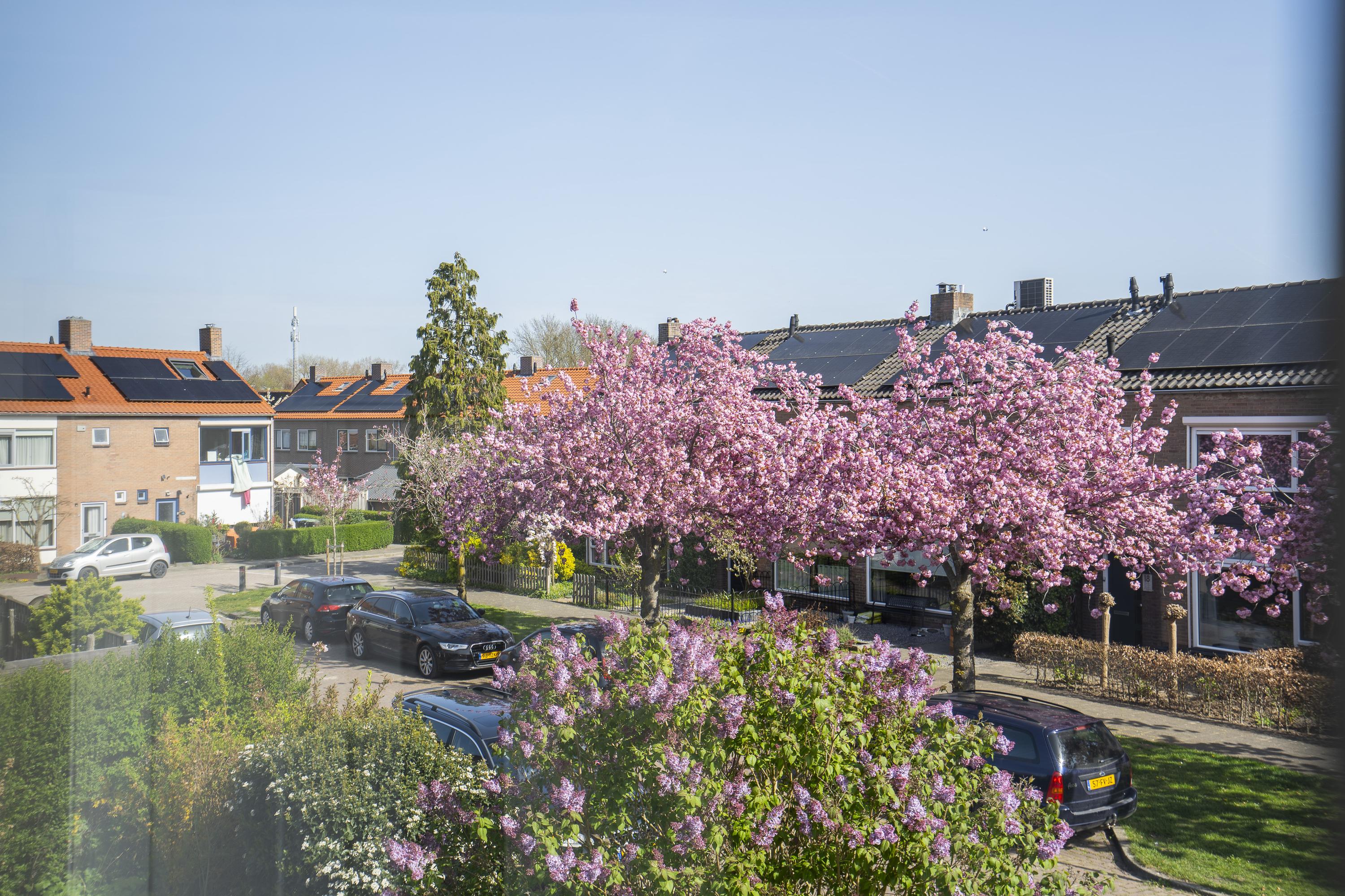 Dirk Willemszstraat 15, afbeelding 26