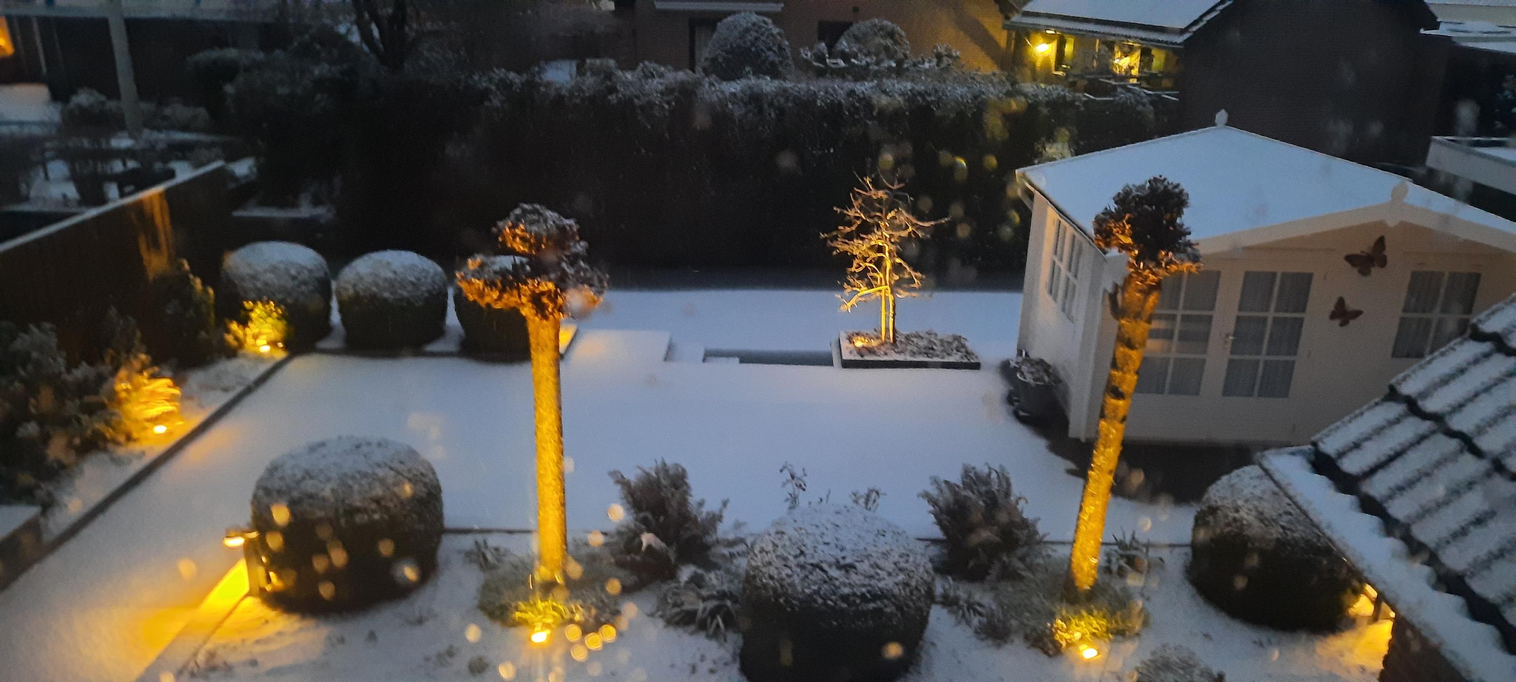 Violierlaan 60, afbeelding 36