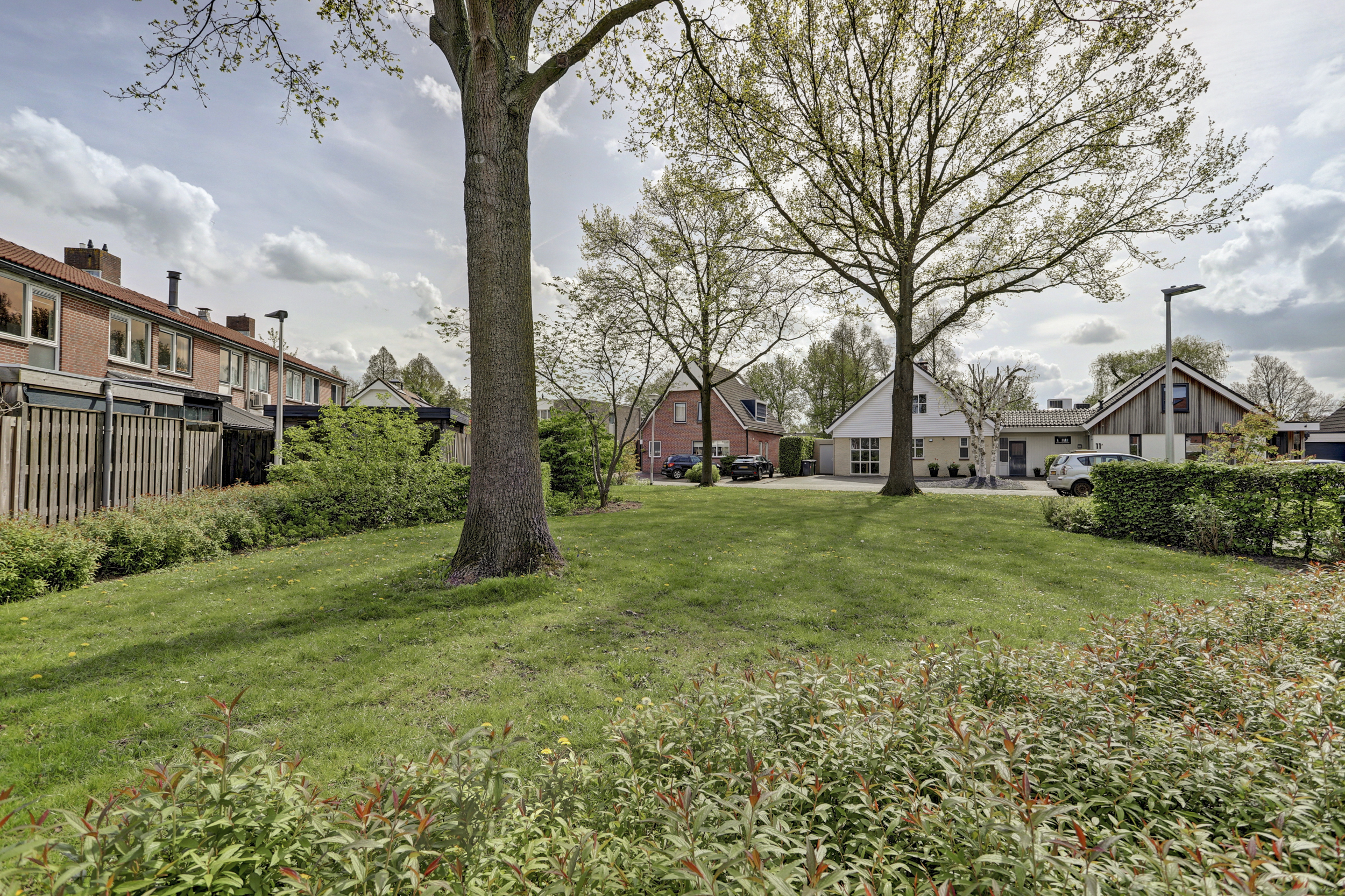 Weide 20, afbeelding 36