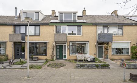 Adriaen van Ostadestraat 10