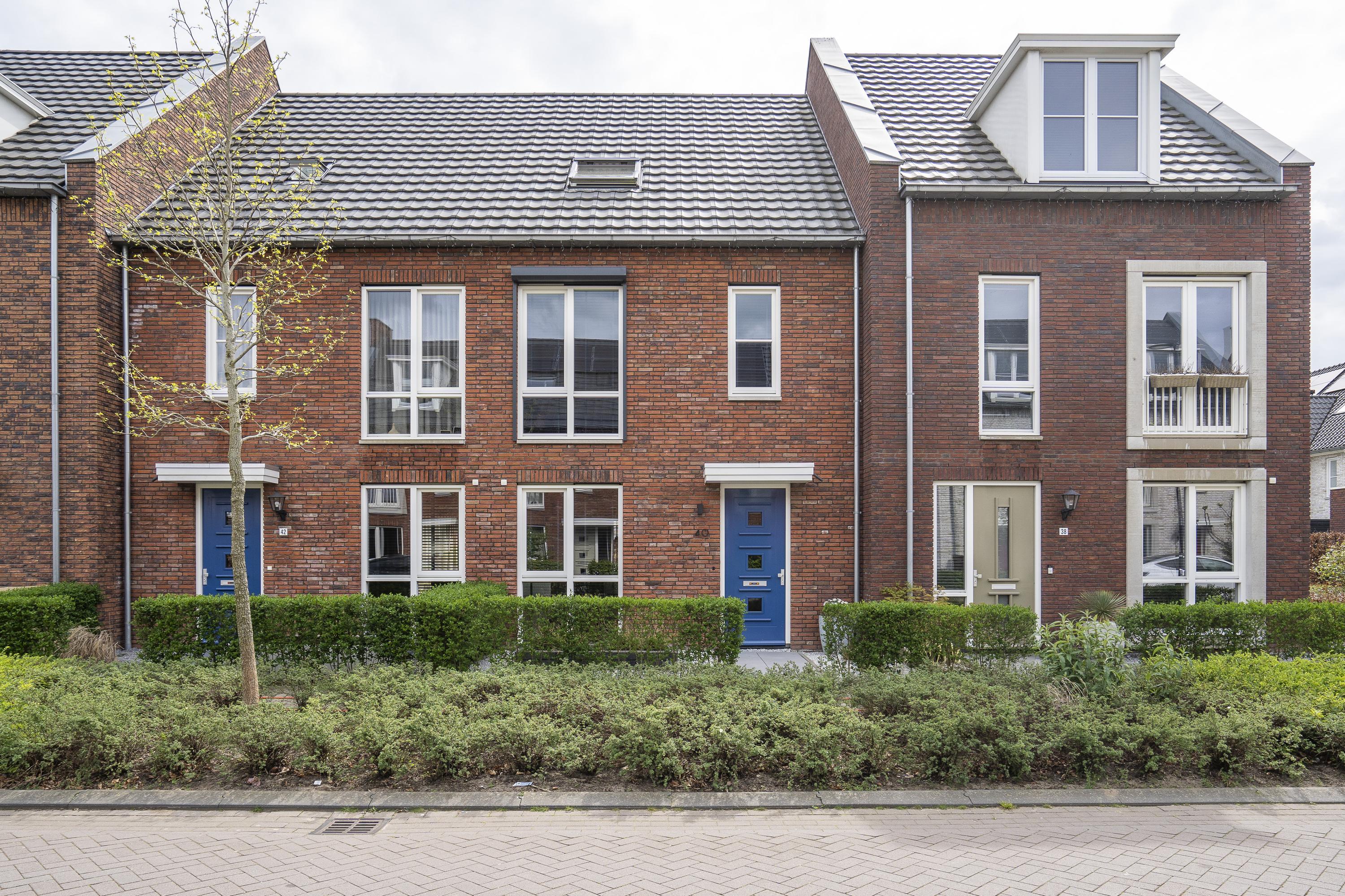 Sergeant 40, afbeelding 1