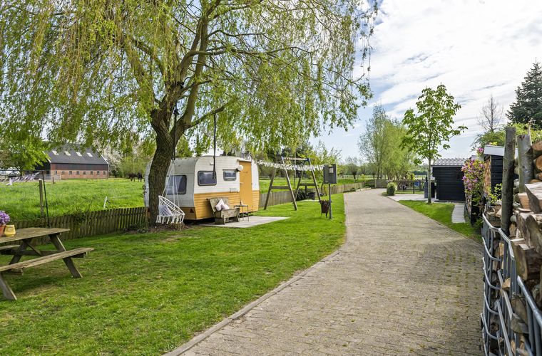 Afbeelding 44