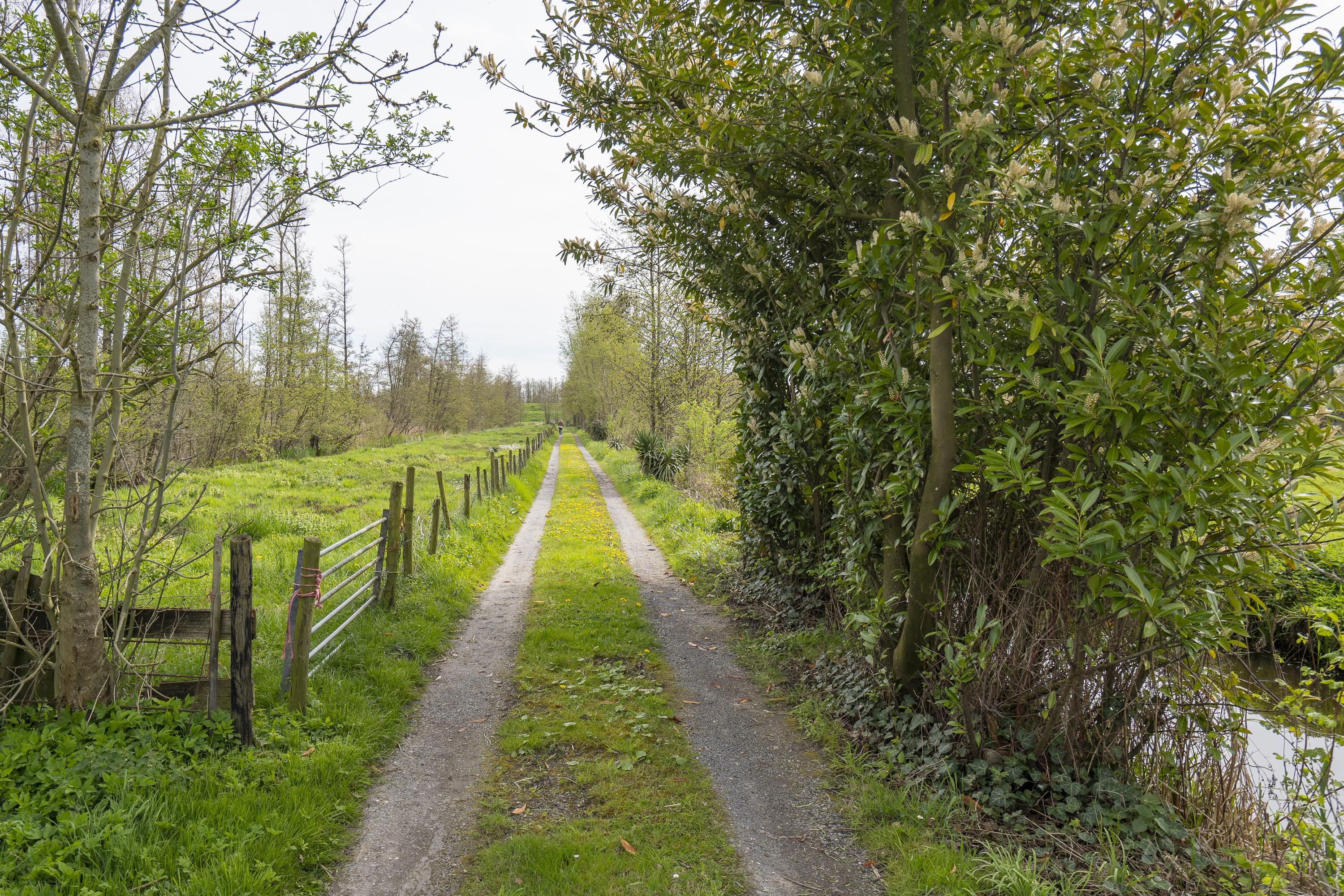 Diefdijk 21, afbeelding 3