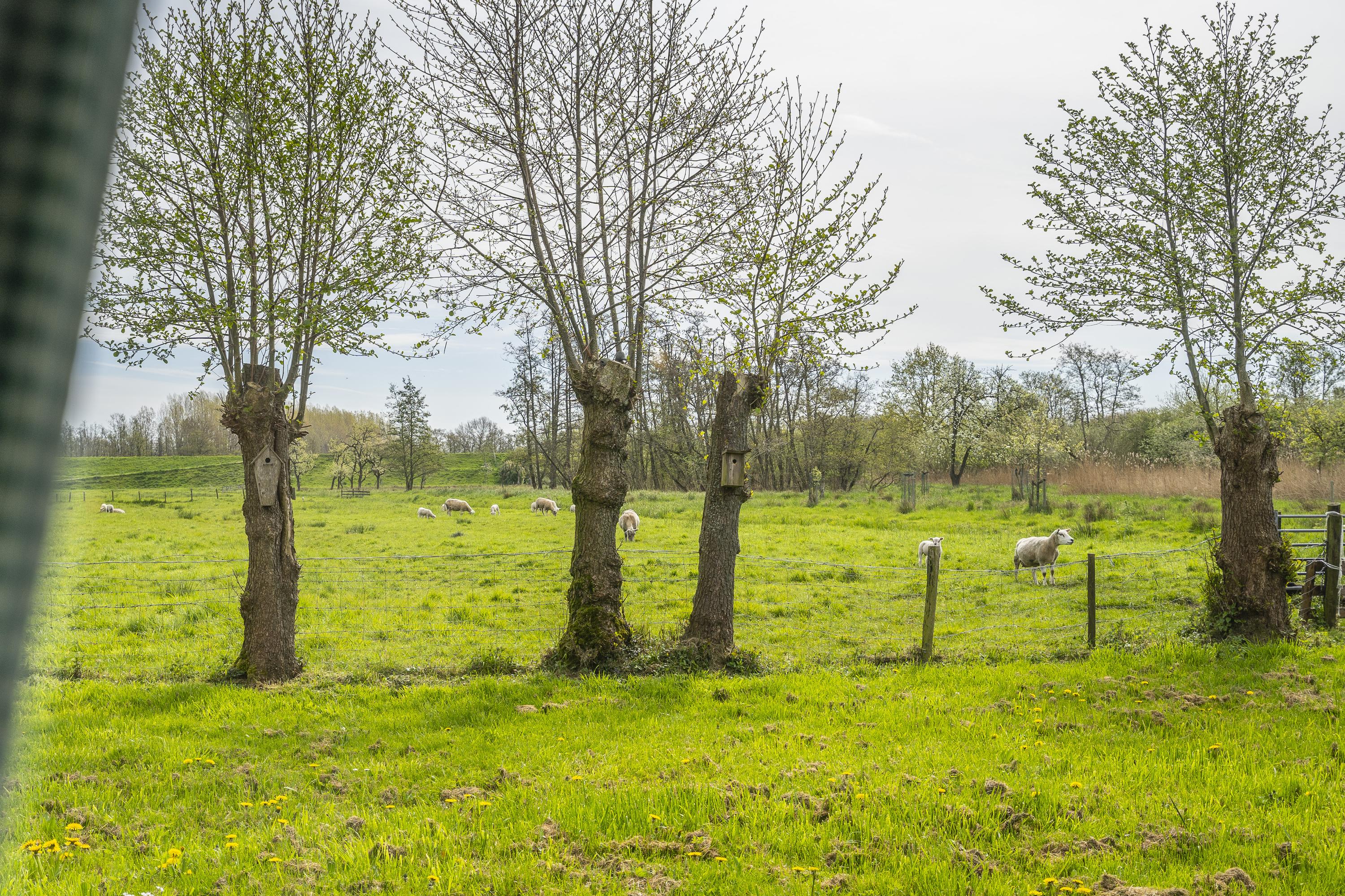 Diefdijk 21, afbeelding 27