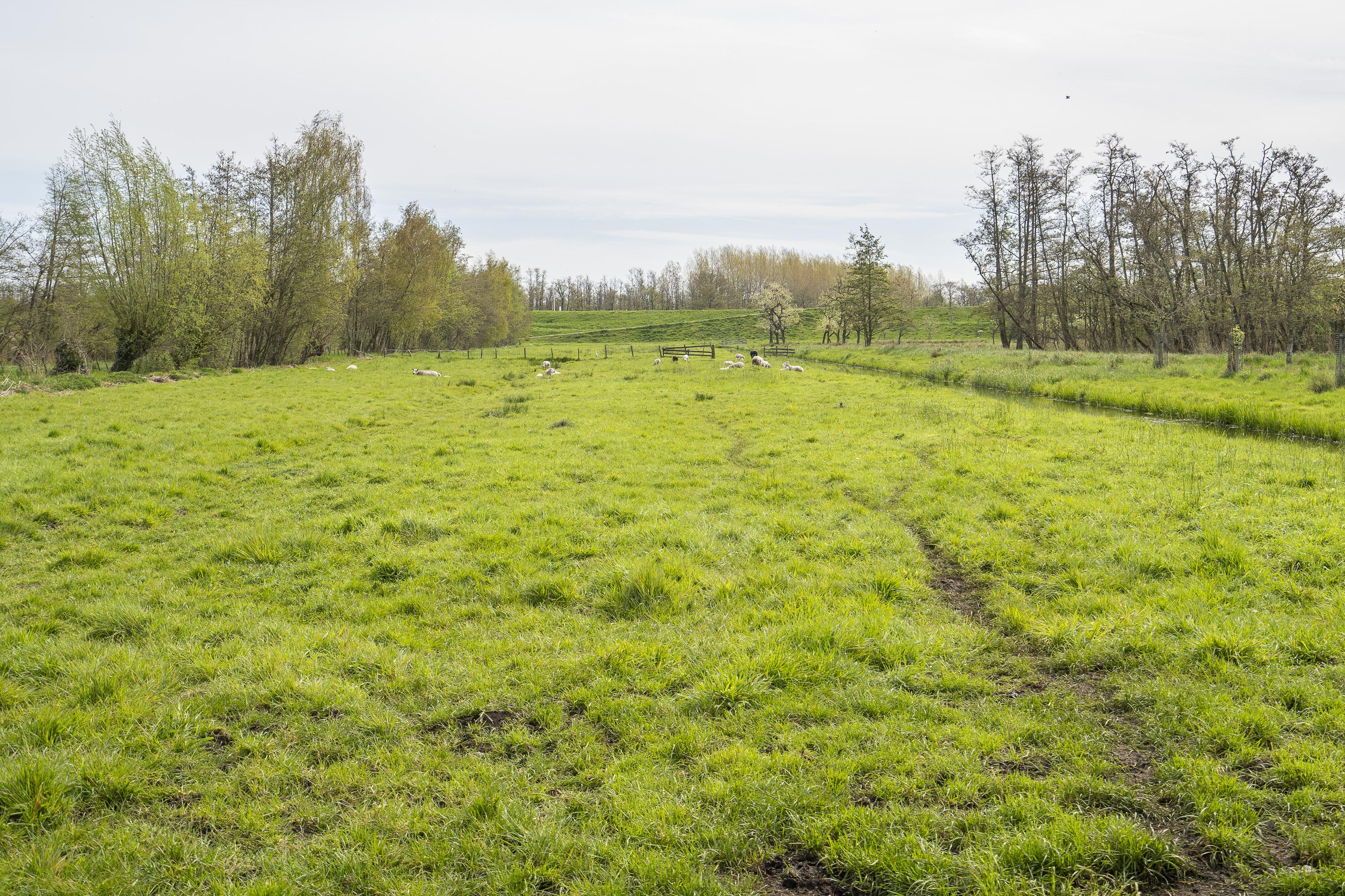 Diefdijk 21, afbeelding 30
