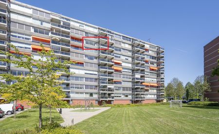 P.J. Oudstraat 74