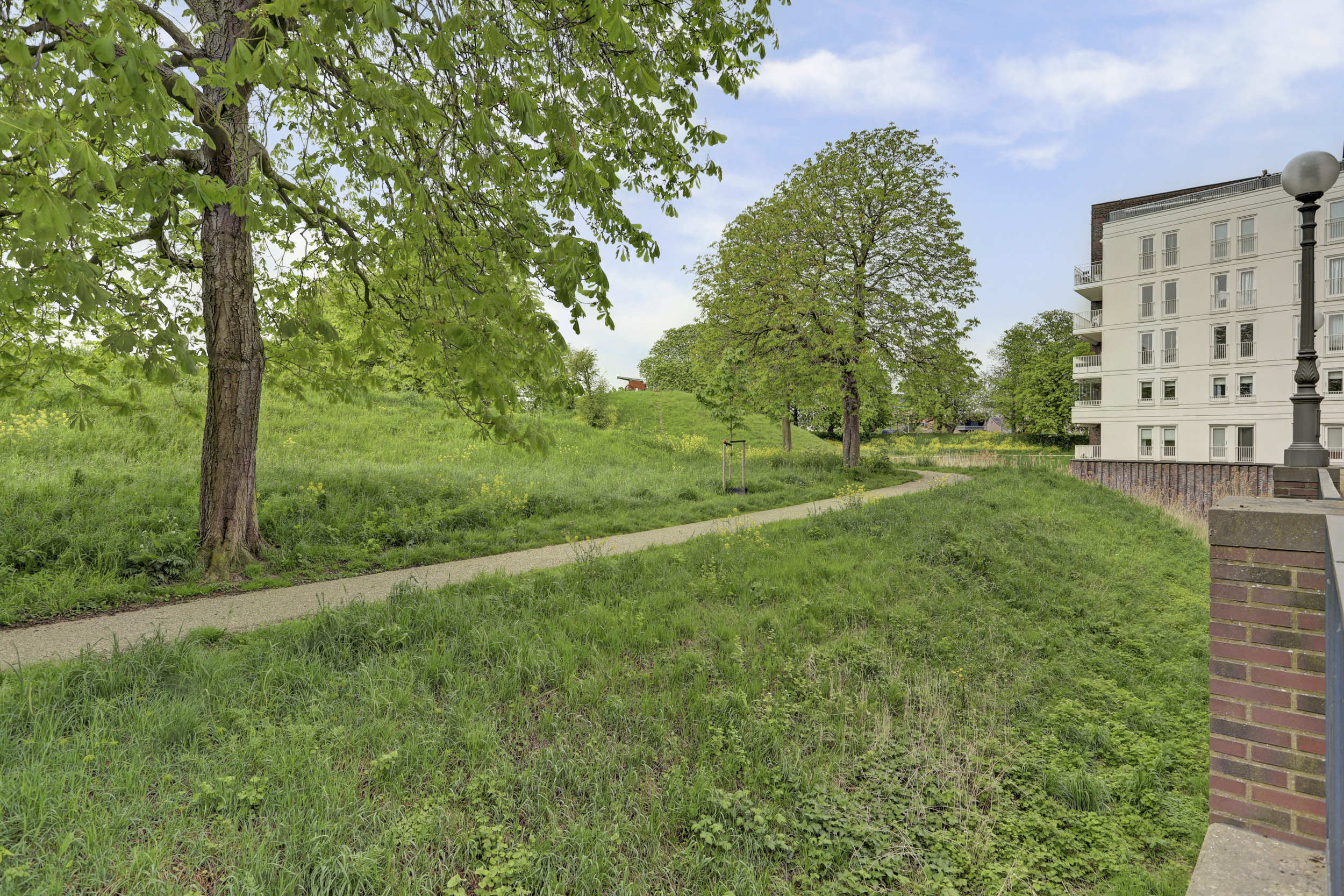 Zwaanswal 93, afbeelding 45