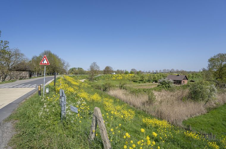 Afbeelding 44