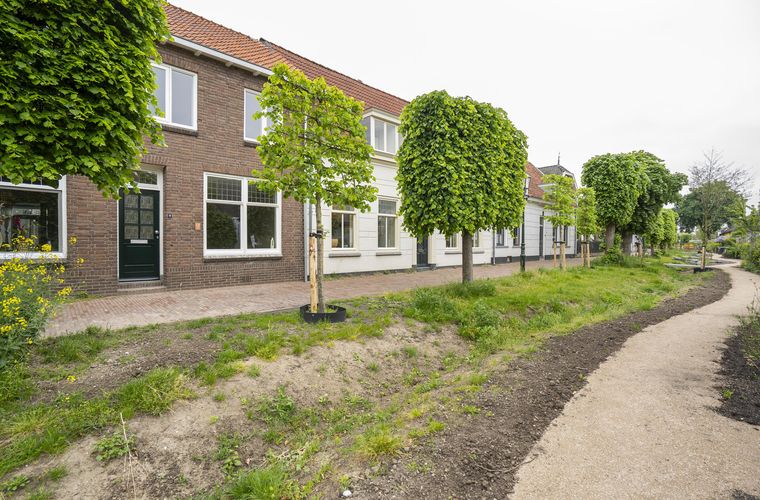 Afbeelding 42