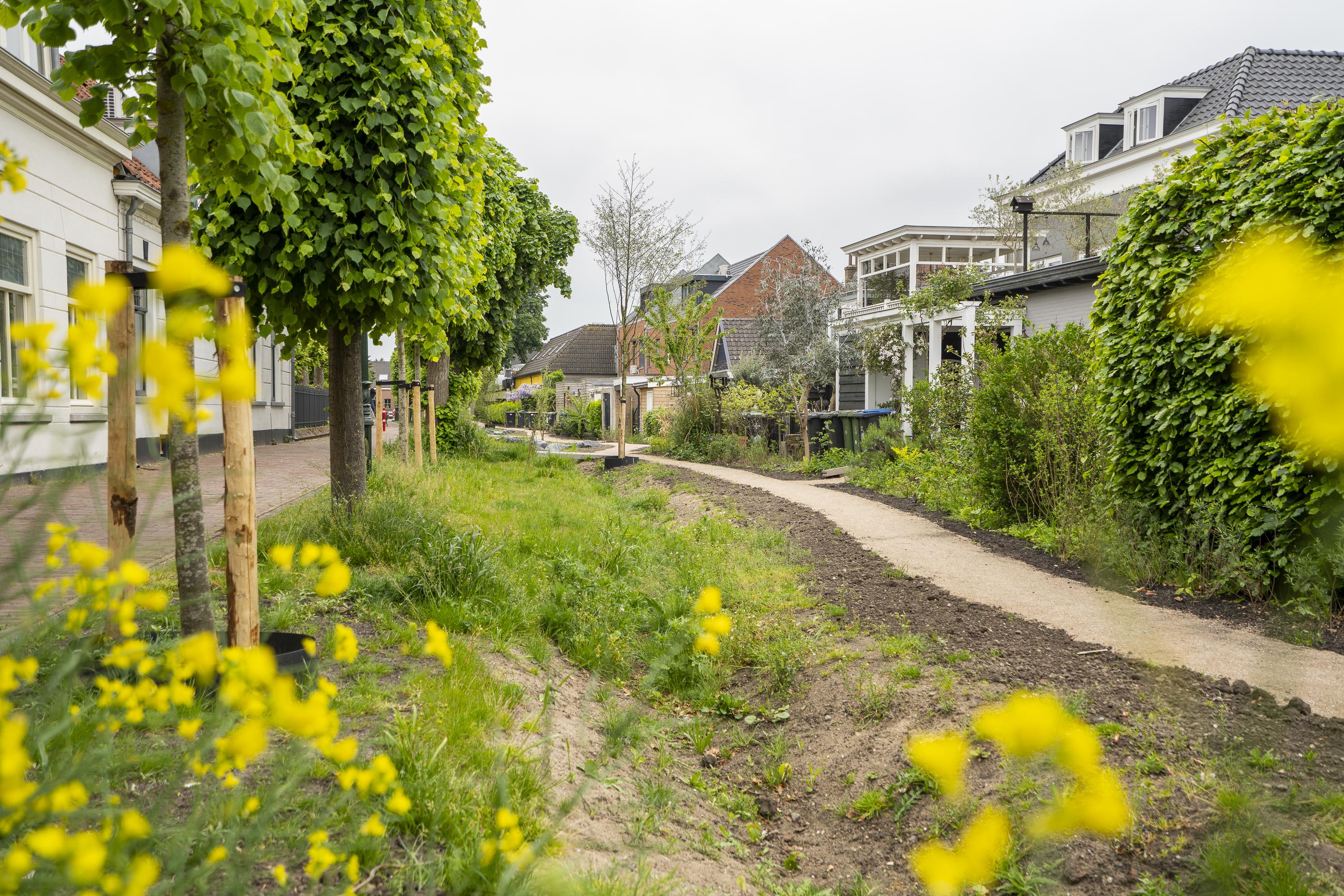 Minstraat 16, afbeelding 41