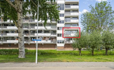 P.J.M. Aalbersestraat 36