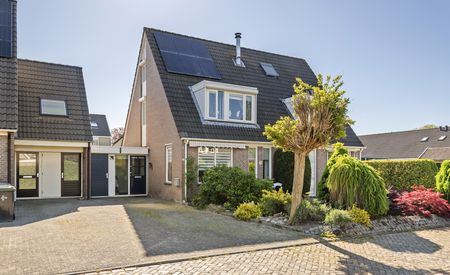 Goudrenet 29