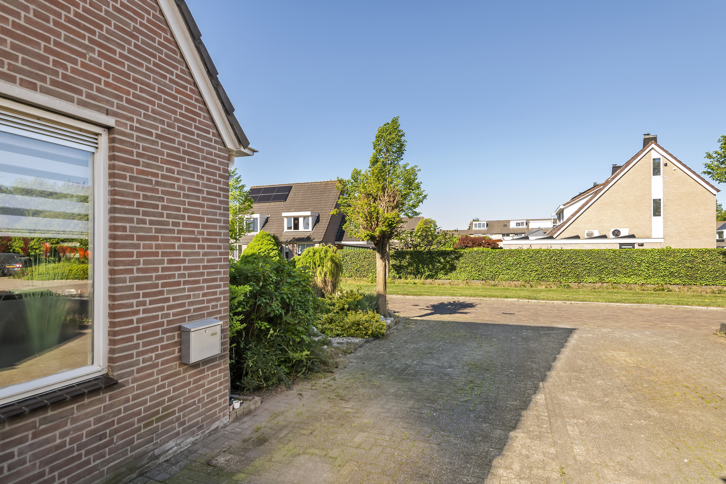 Goudrenet 29, afbeelding 5