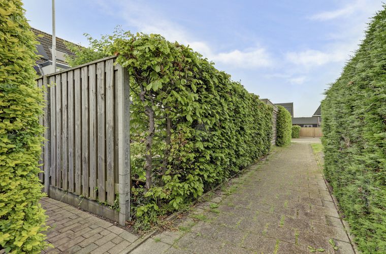 Afbeelding 34
