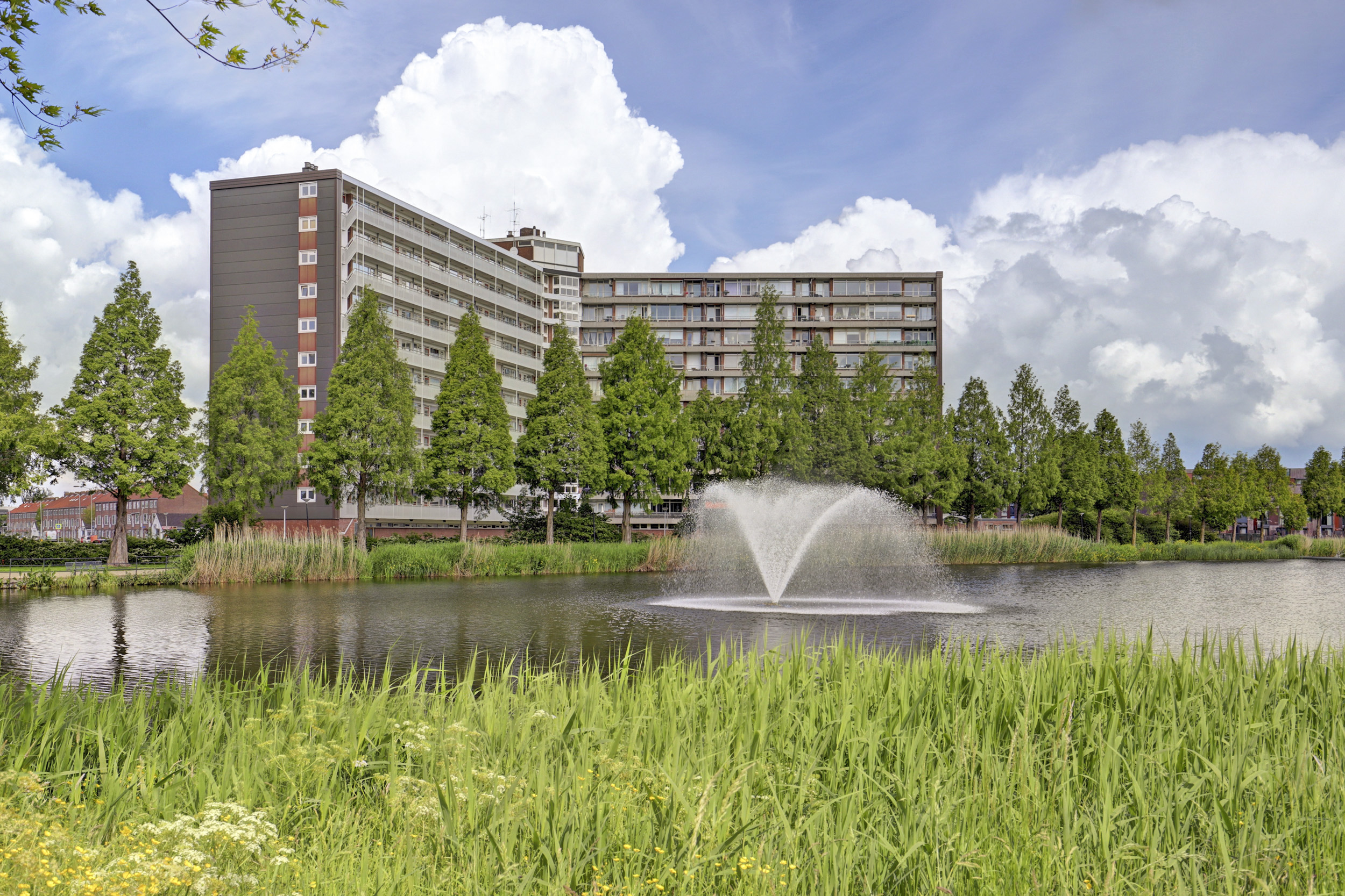 Vrijheer van Eslaan 407, afbeelding 4