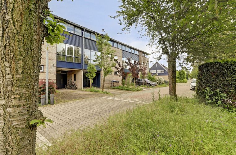 Afbeelding 47